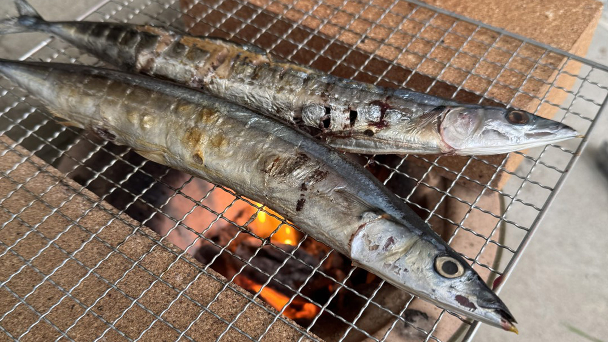 ・【七輪】季節によって旬の食材を七輪で調理。炭火の遠赤外線で、旨味と香りが凝縮されます