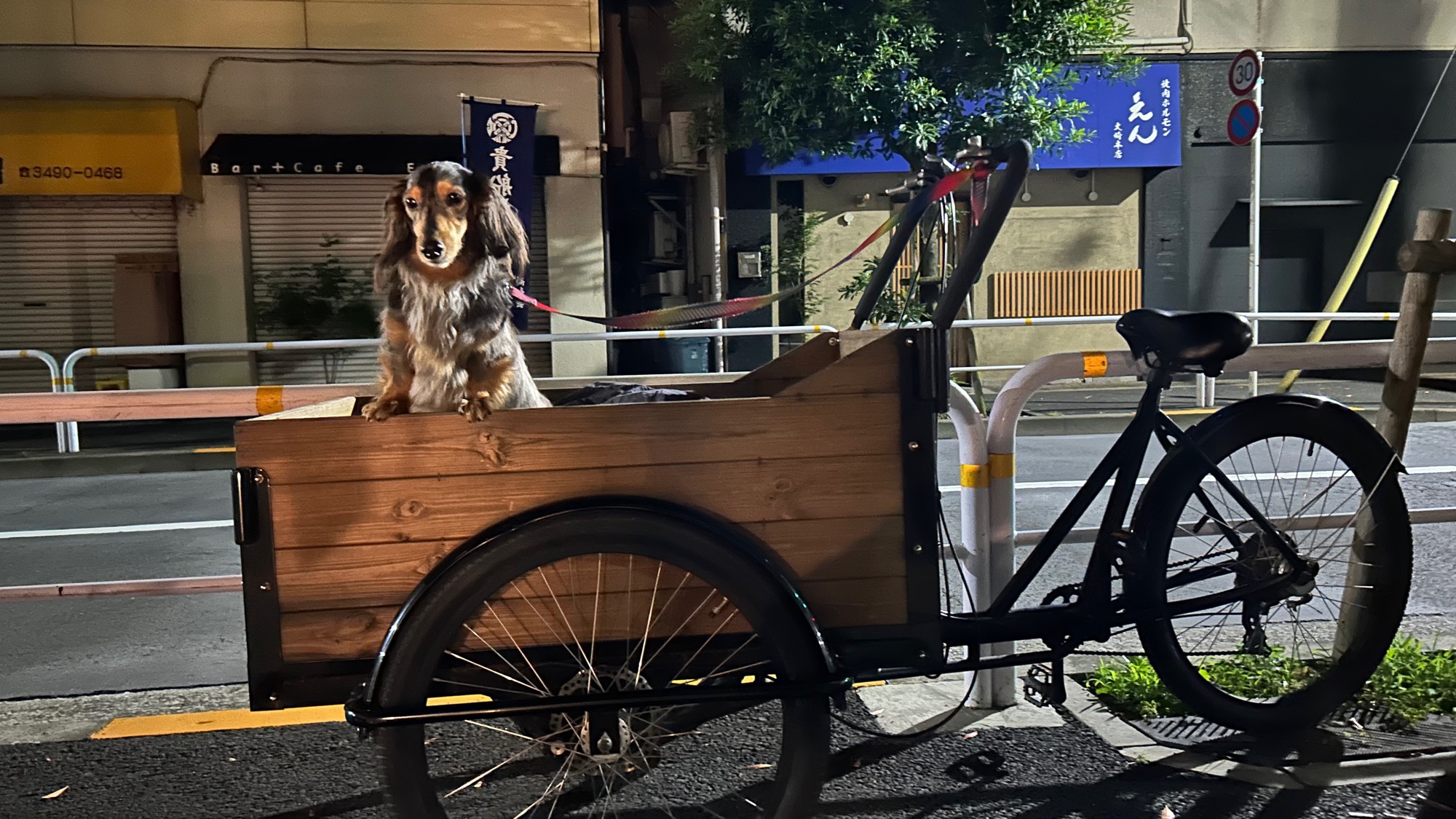 1F 宿越しに見えるレトロ感あふれるお店と犬