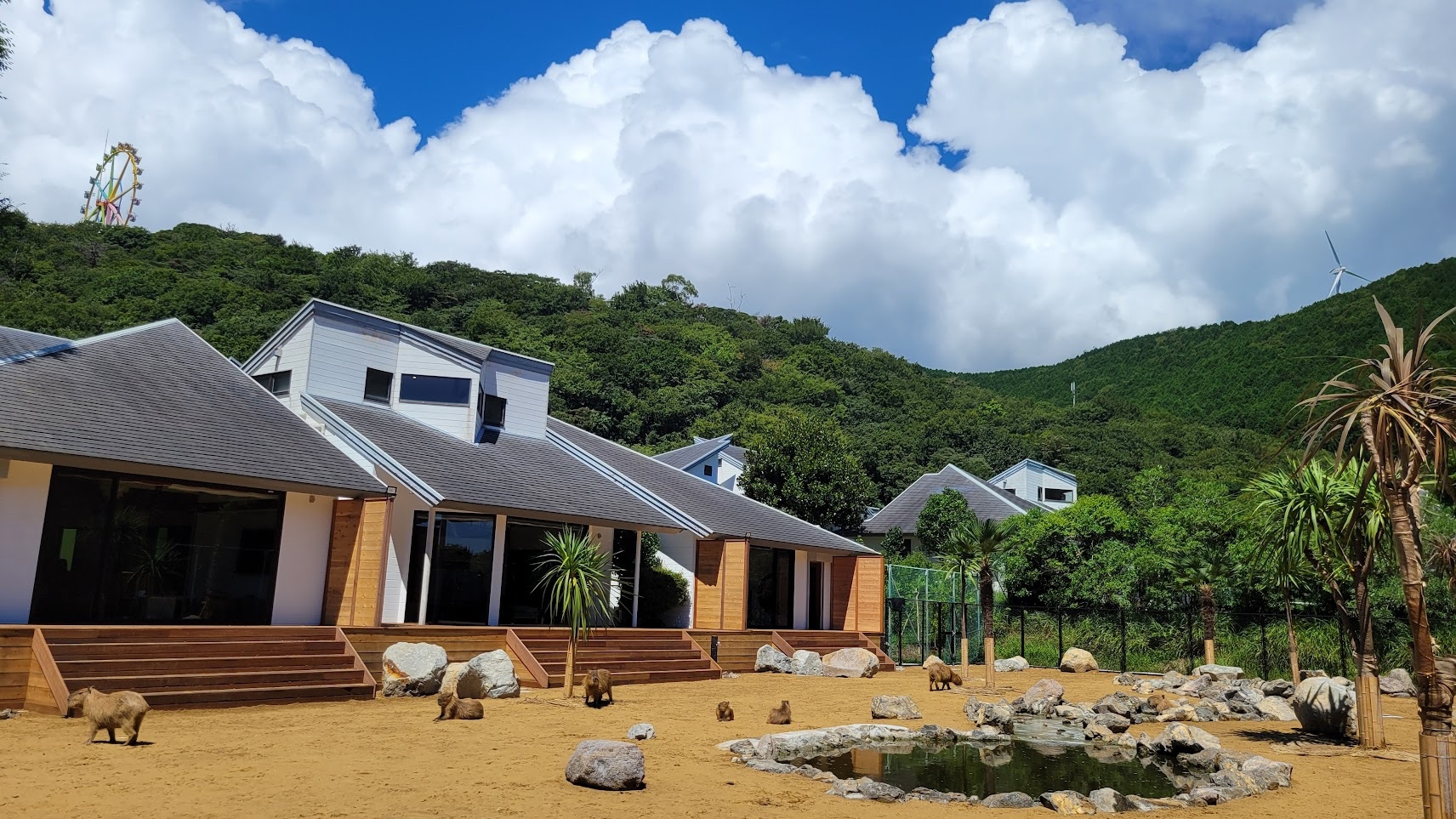 【2食付き】カピバラと過ごせる夢のお部屋★アニマルヴィラ＜特典付き＞