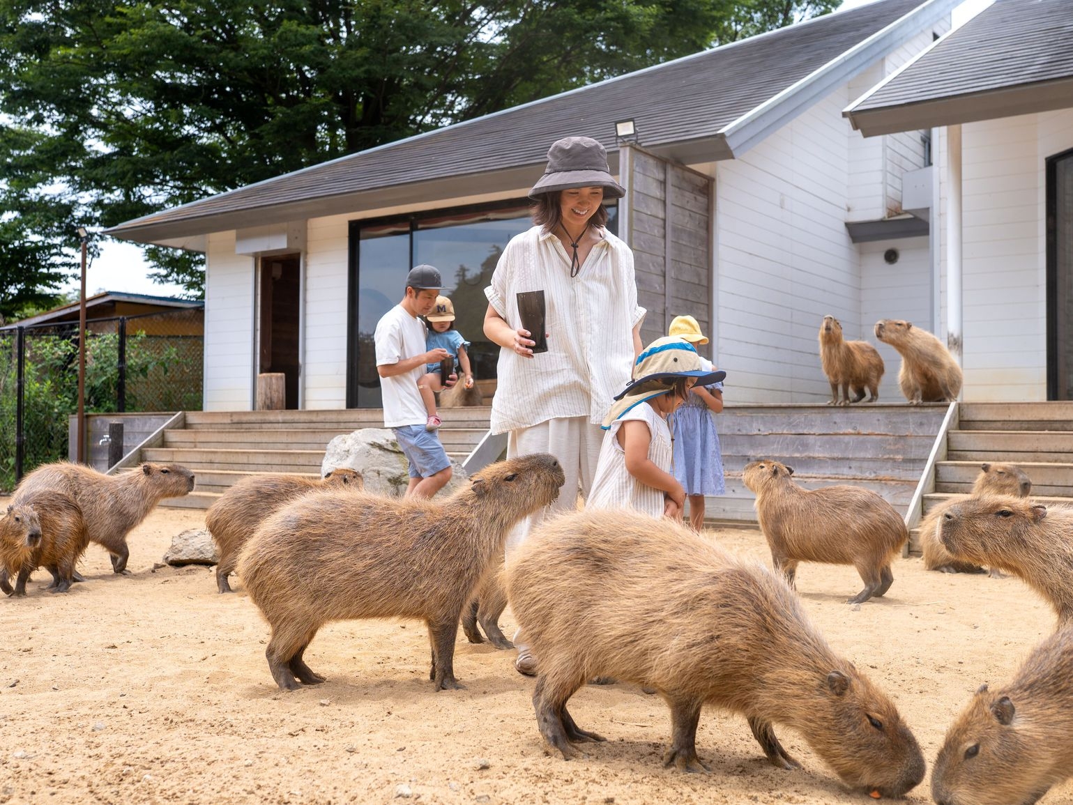 【2食付き】カピバラと過ごせる夢のお部屋★アニマルヴィラ＜特典付き＞