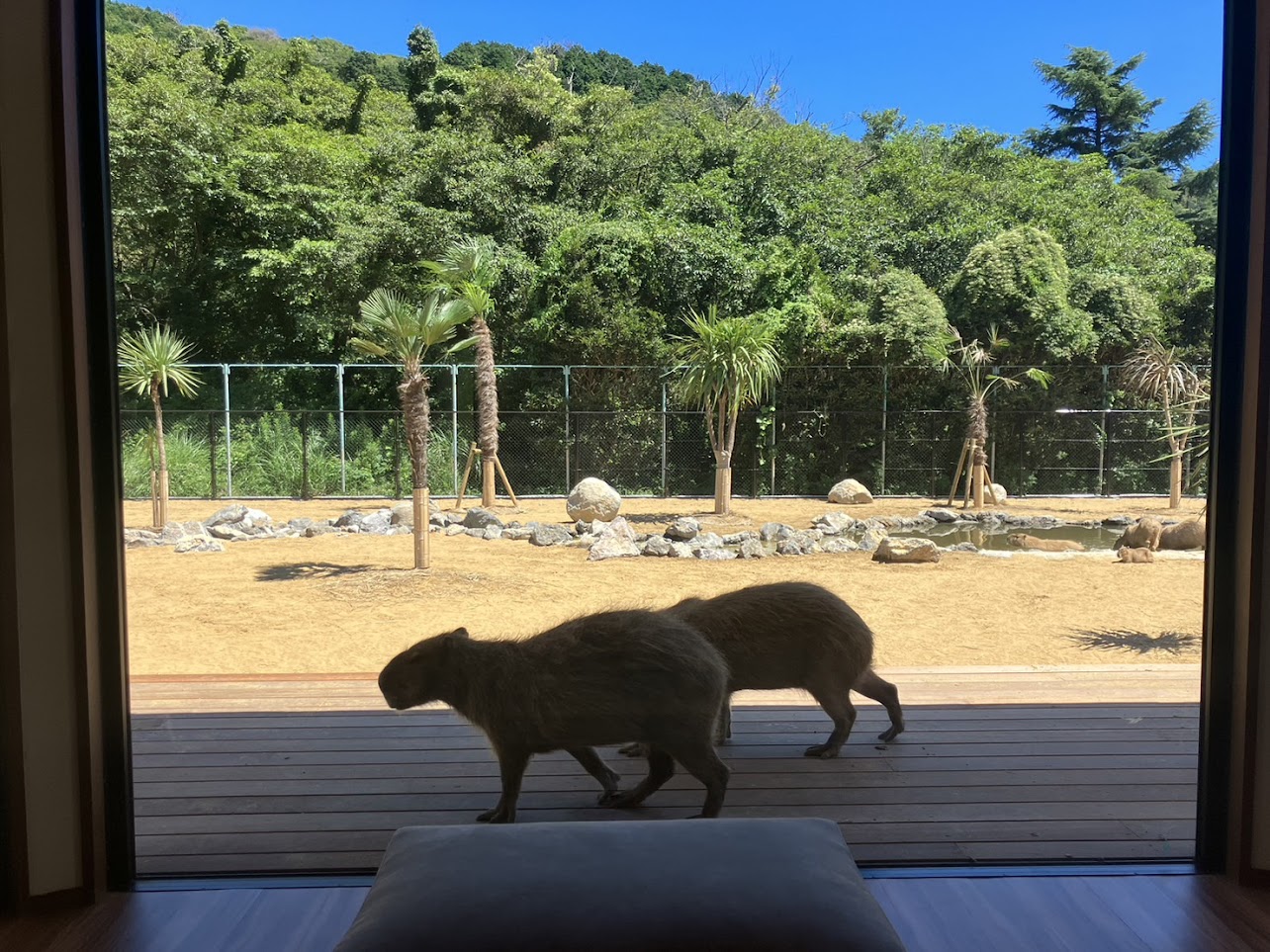 室内からの展望