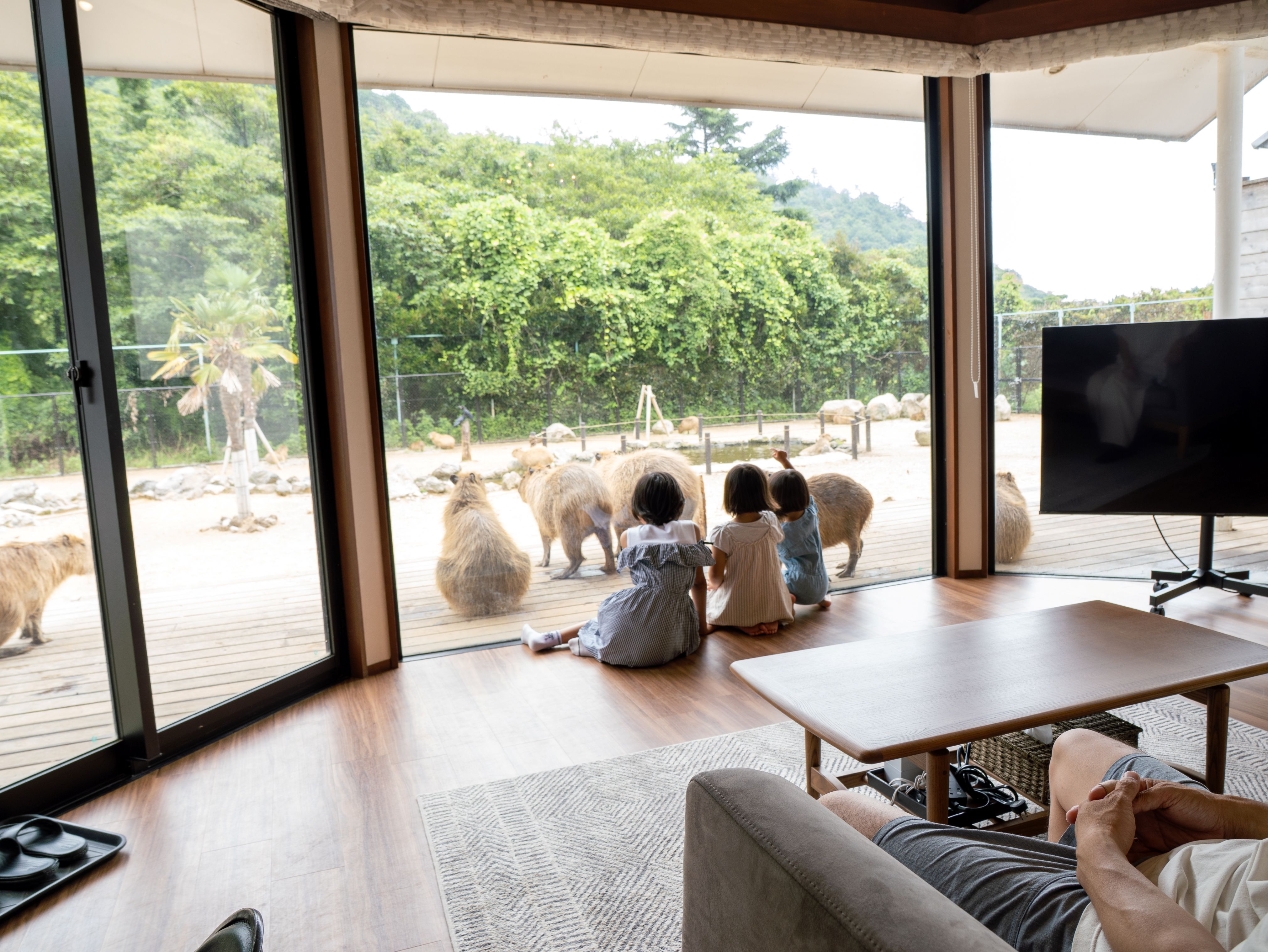 部屋からの展望
