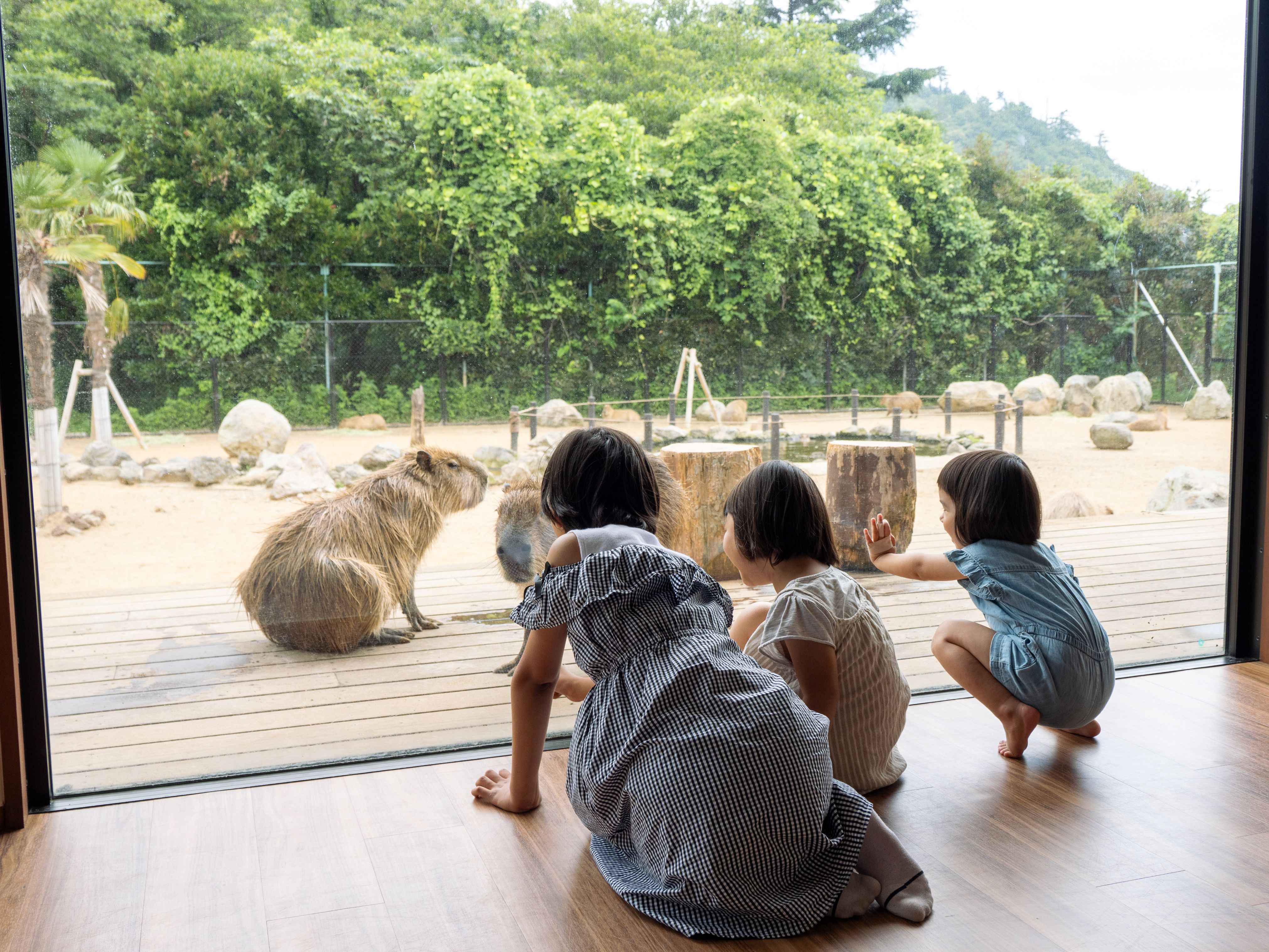 部屋からの展望