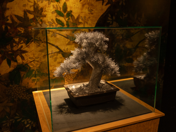 エレベーター前・廊下