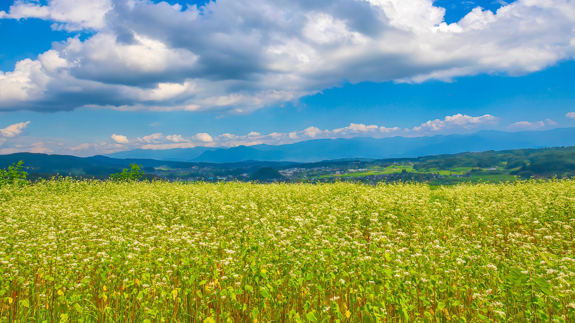 【飯綱の景色】