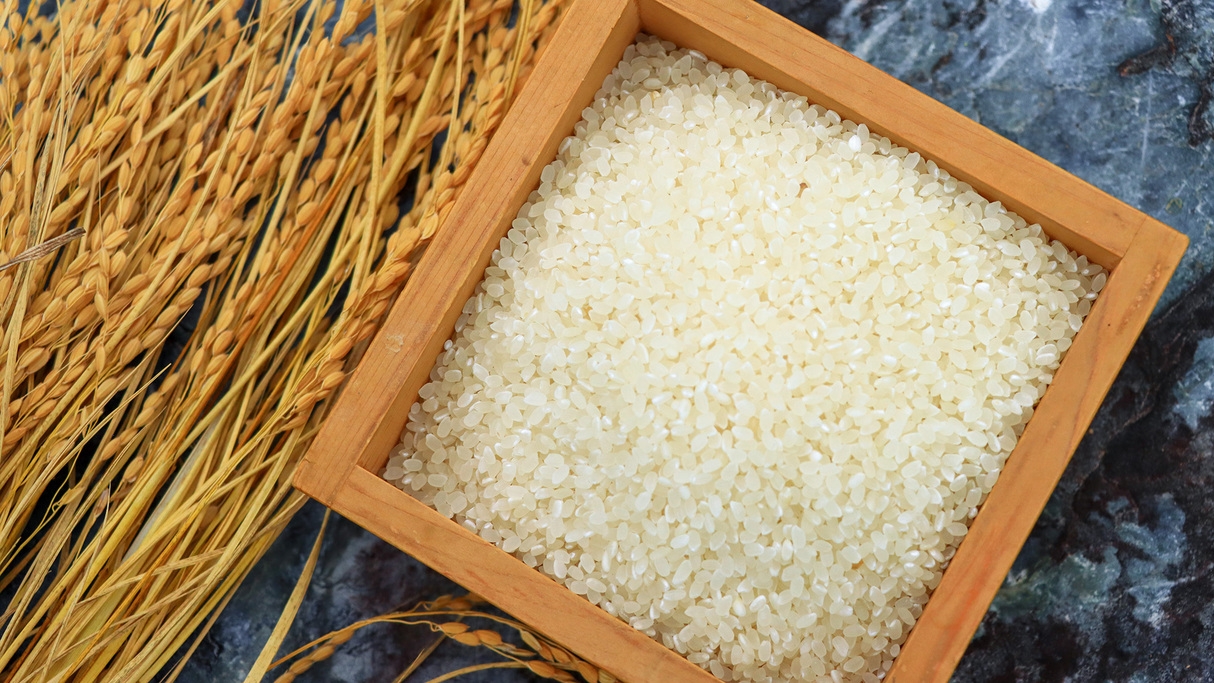 【彩り豊かな季節の味覚】農家民宿ならでは！東北の恵みを味わう地元食材たっぷり朝食付プラン