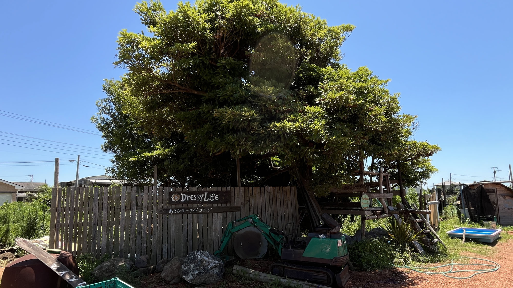施設◇オーナー手作りの遊び心あるツリーハウス*