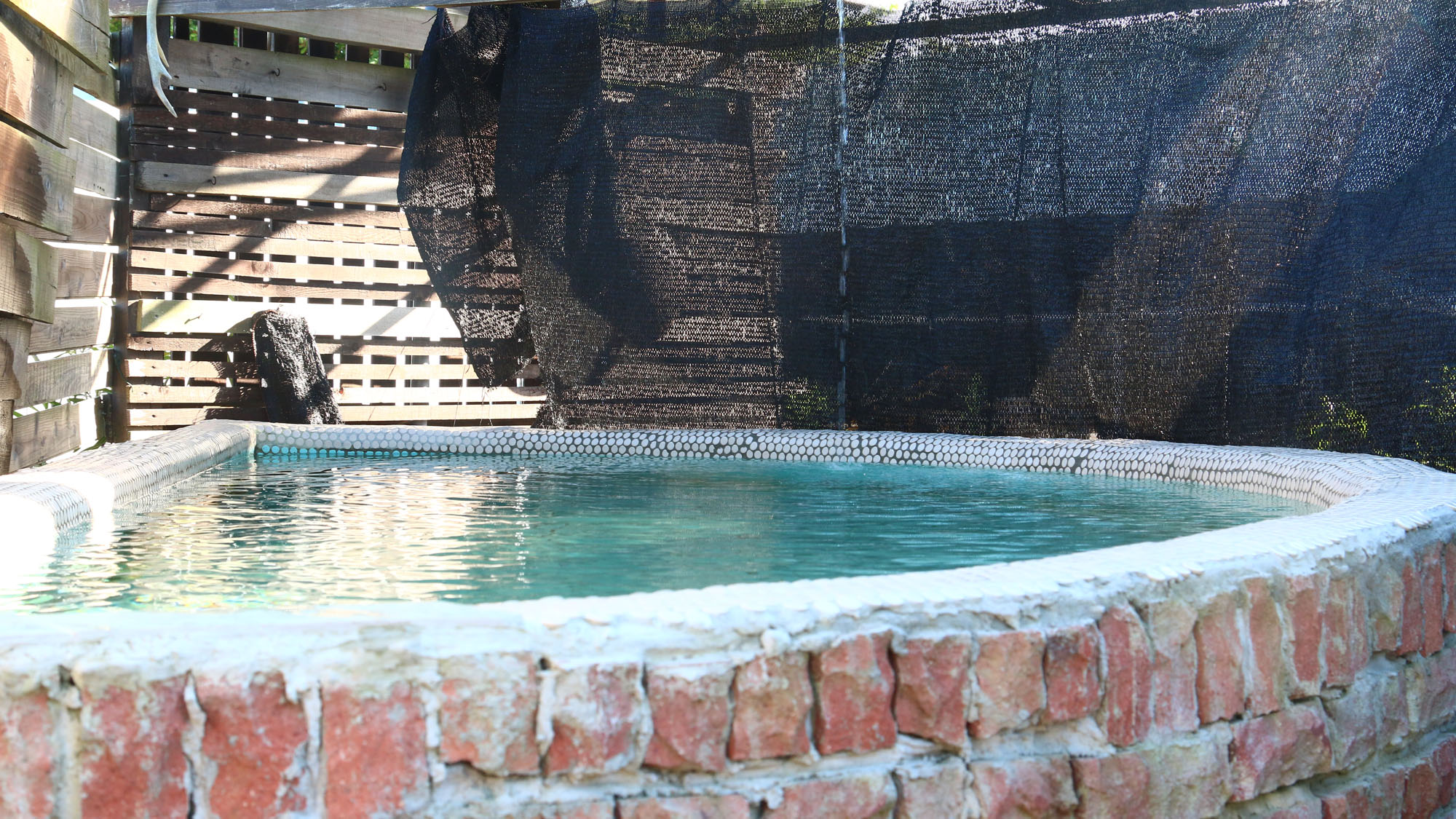 SKYコテージ◇専用屋外水風呂があります※水着着用*