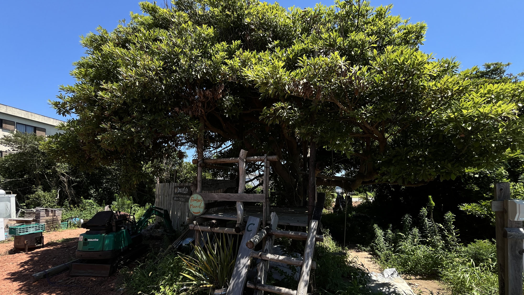 施設◇オーナー手作りの遊び心あるツリーハウス*