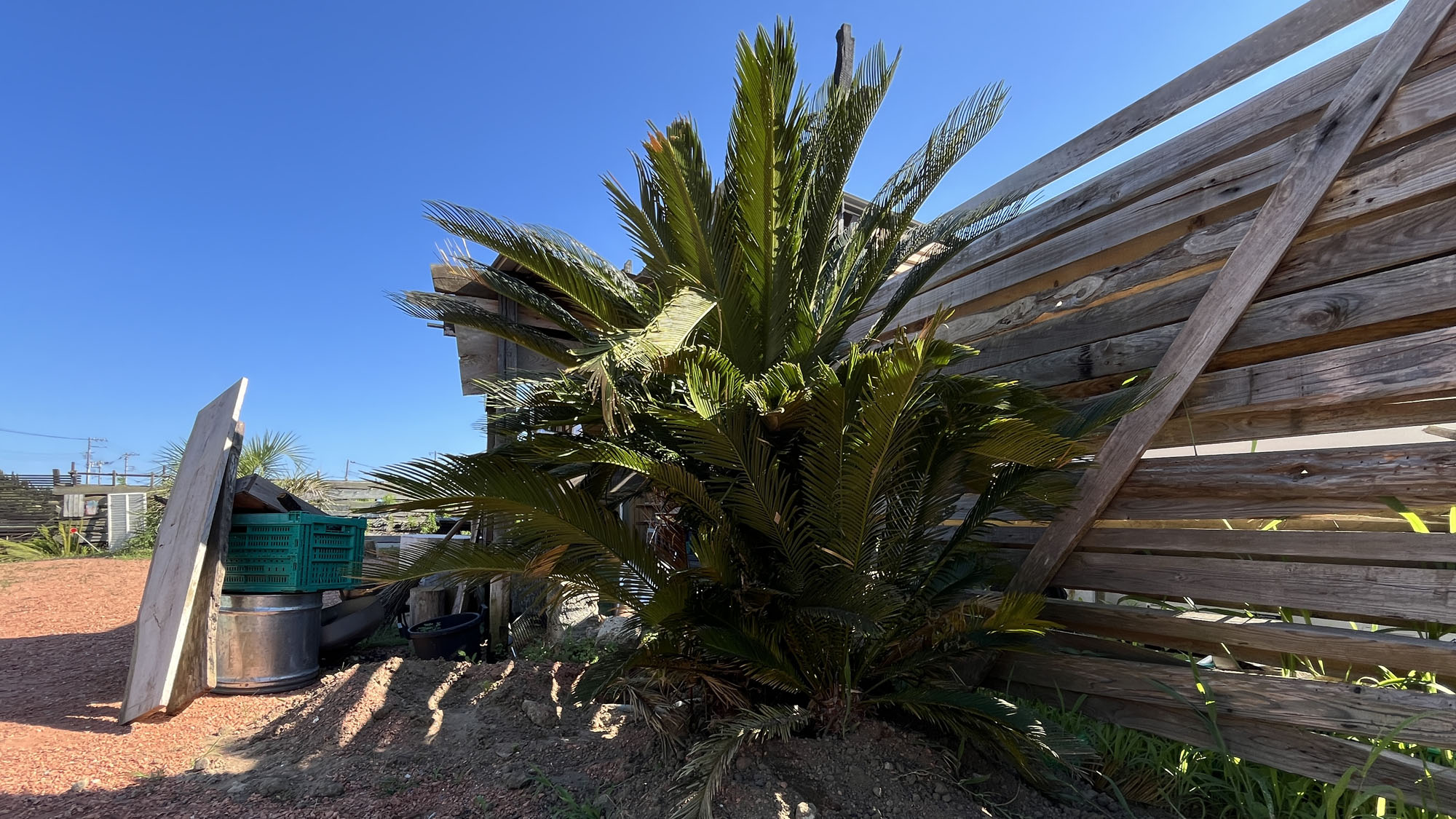 イメージ◇日本にいながら海外を感じさせる雰囲気があります*