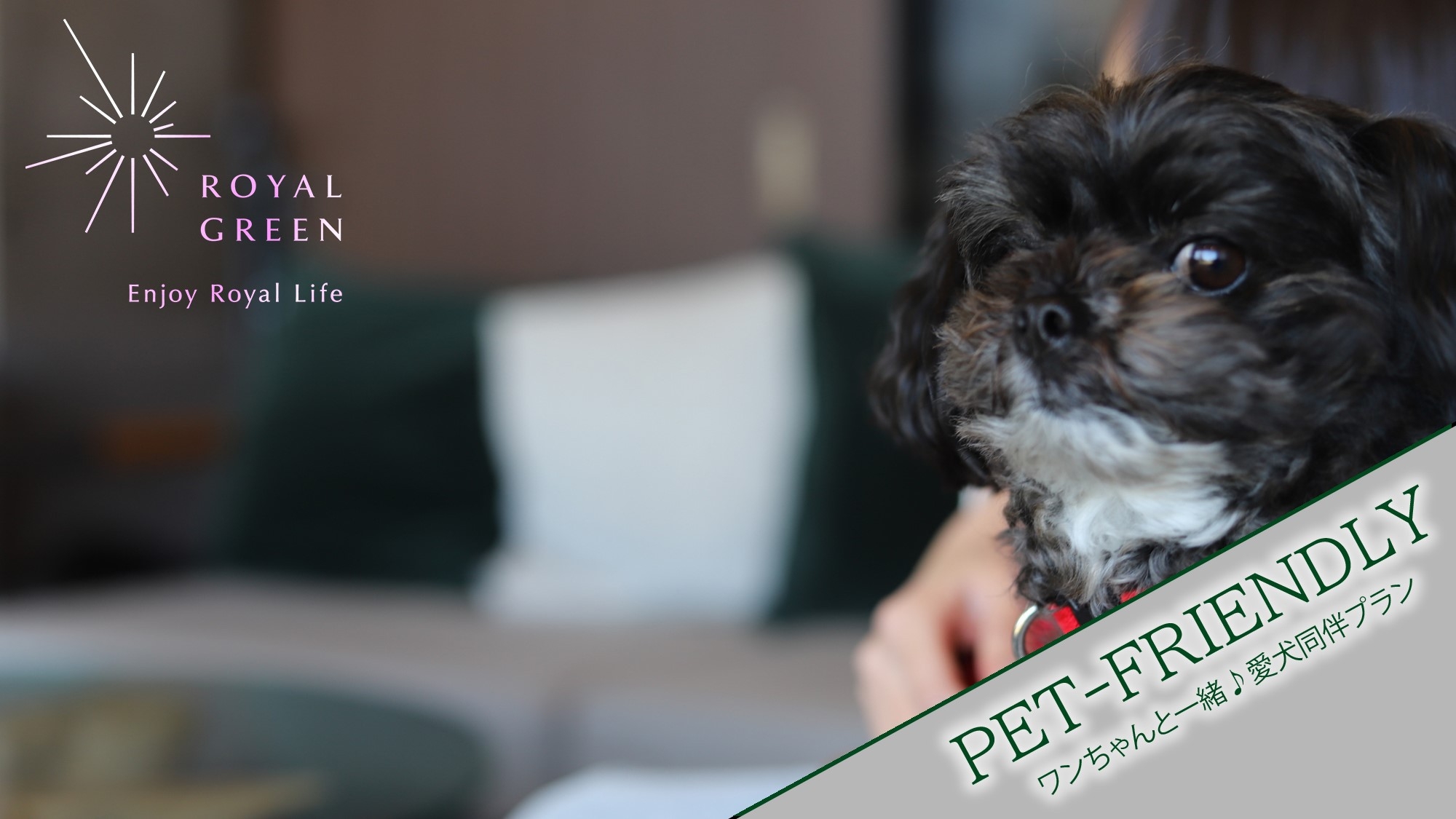 【ゴルフ満喫＆ペット滞在OK】ゴルフも愛犬との癒し時間も満喫！／ペット1頭専用プラン（素泊まり）