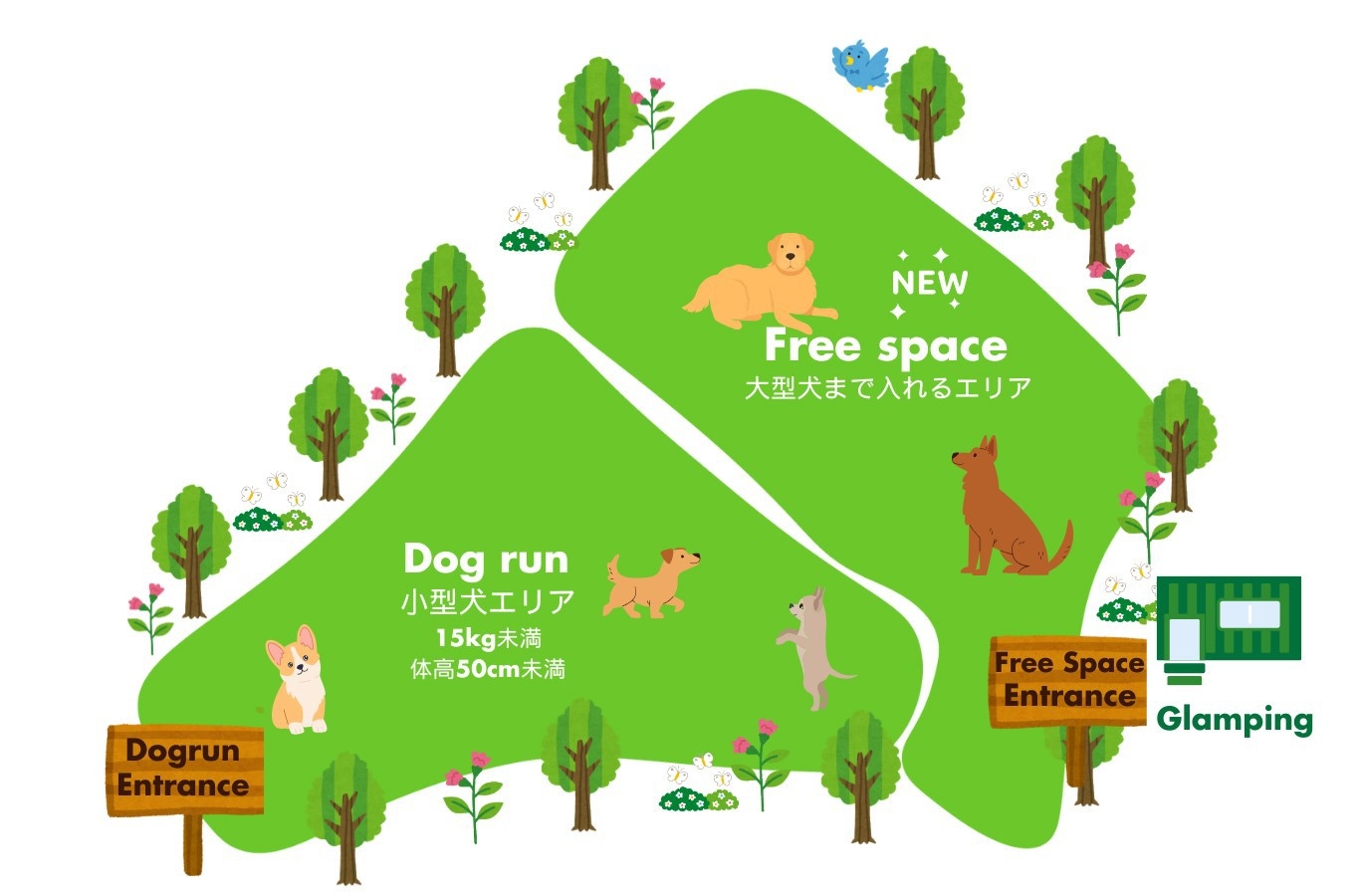 【ゴルフ満喫＆ペット滞在OK】ゴルフも愛犬との癒し時間も満喫！／ペット1頭専用プラン（素泊まり）