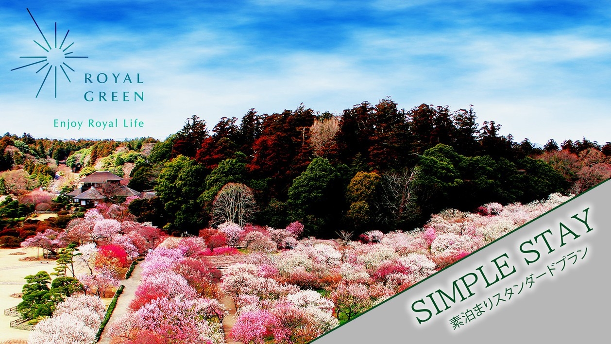 【素泊まり】プライベートコンテナハウスで過ごす新感覚ステイ♪