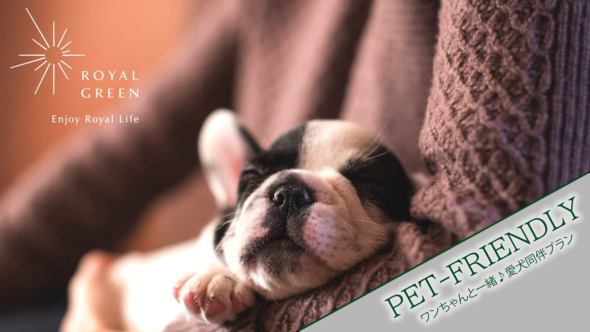 【ペット2頭専用】貸切コンテナで愛犬と過ごすひととき♪ Dog Lover’s Trip（素泊まり）