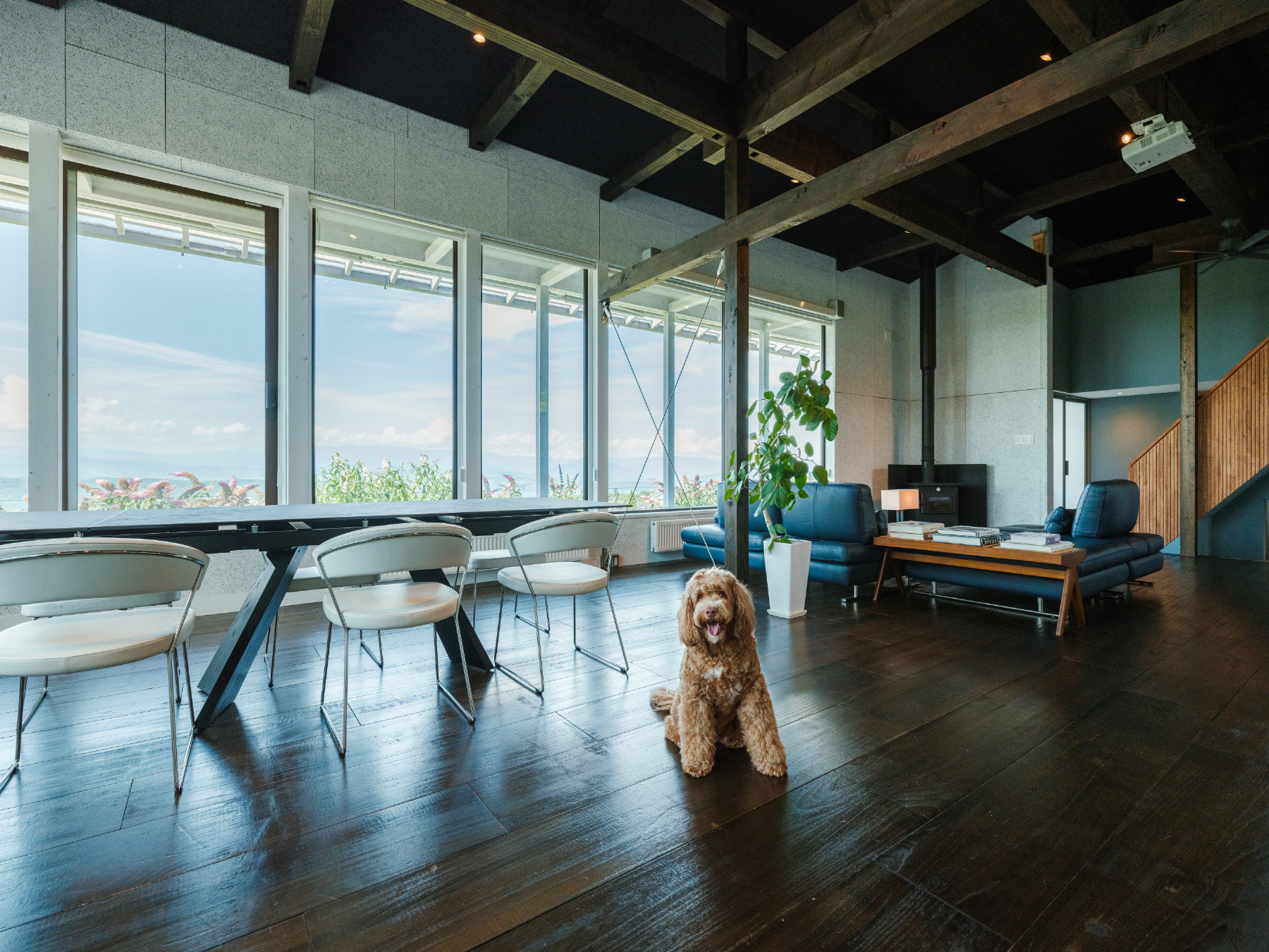 大型犬でもゆとりのリビングダイニングです。