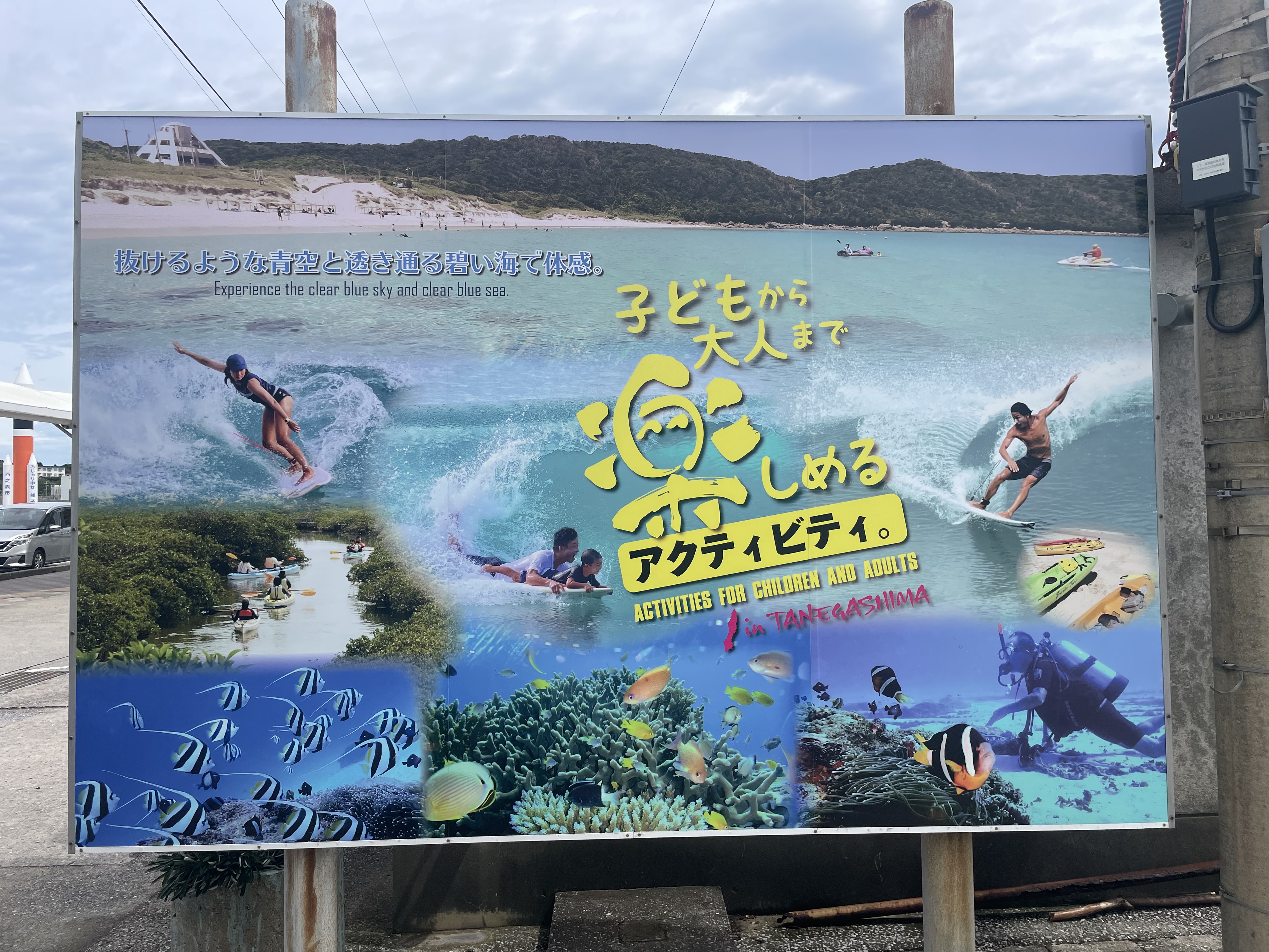 子どもから大人まで楽しめる！海のアクティビティ