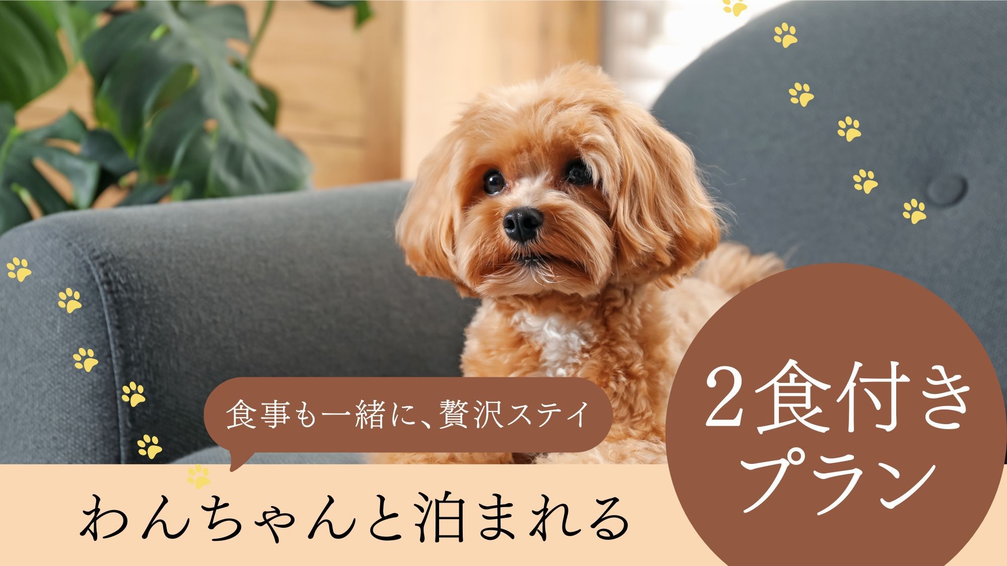 【ドッグフレンドリー〇２食付】大切なわんちゃんといっしょに滞在〇客室も大浴場もオーシャンビュー