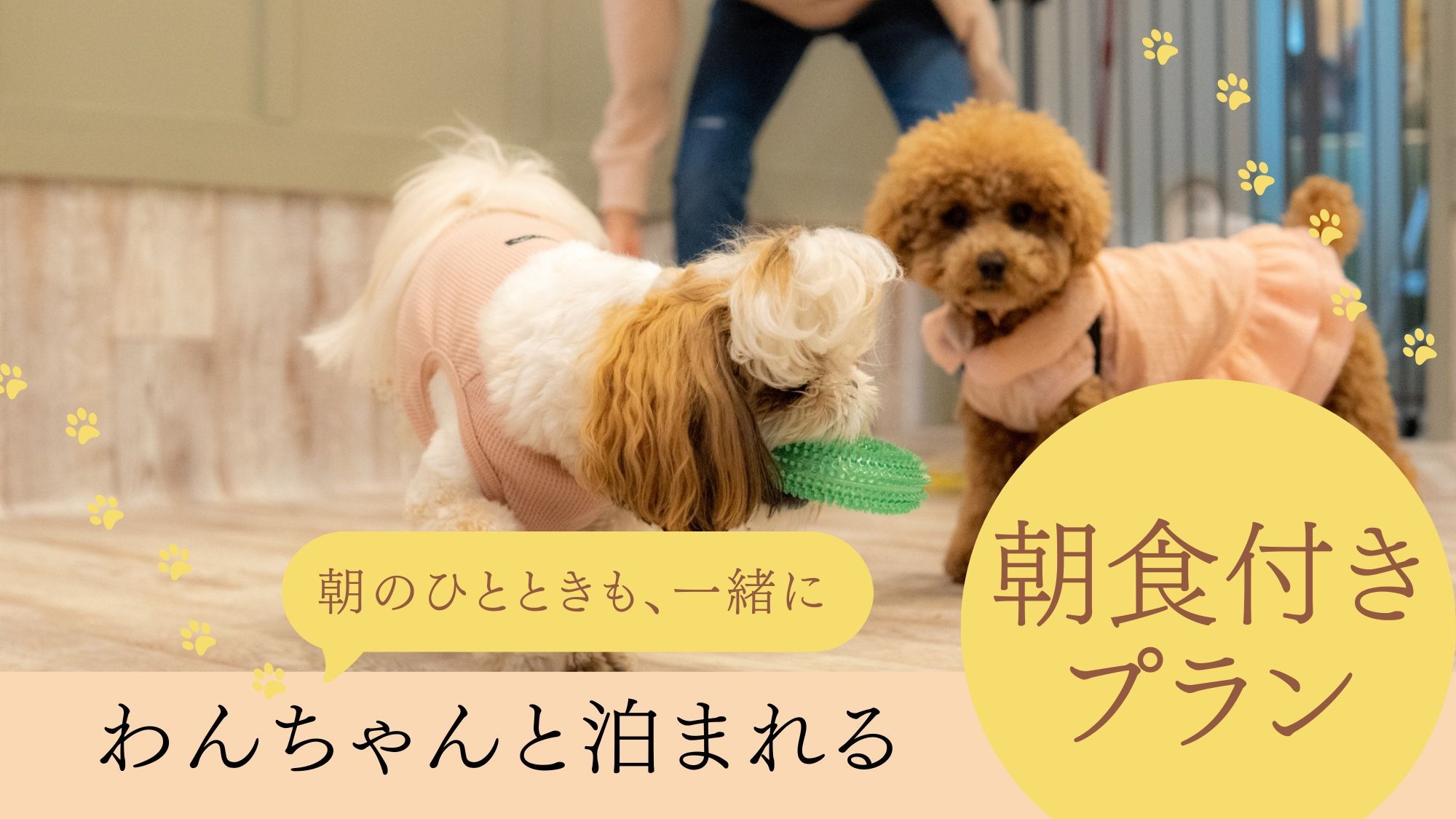 【ドッグフレンドリー〇和朝食付】朝からほっこり港町熱海の和朝食御膳〇お部屋でわんちゃんといっしょに