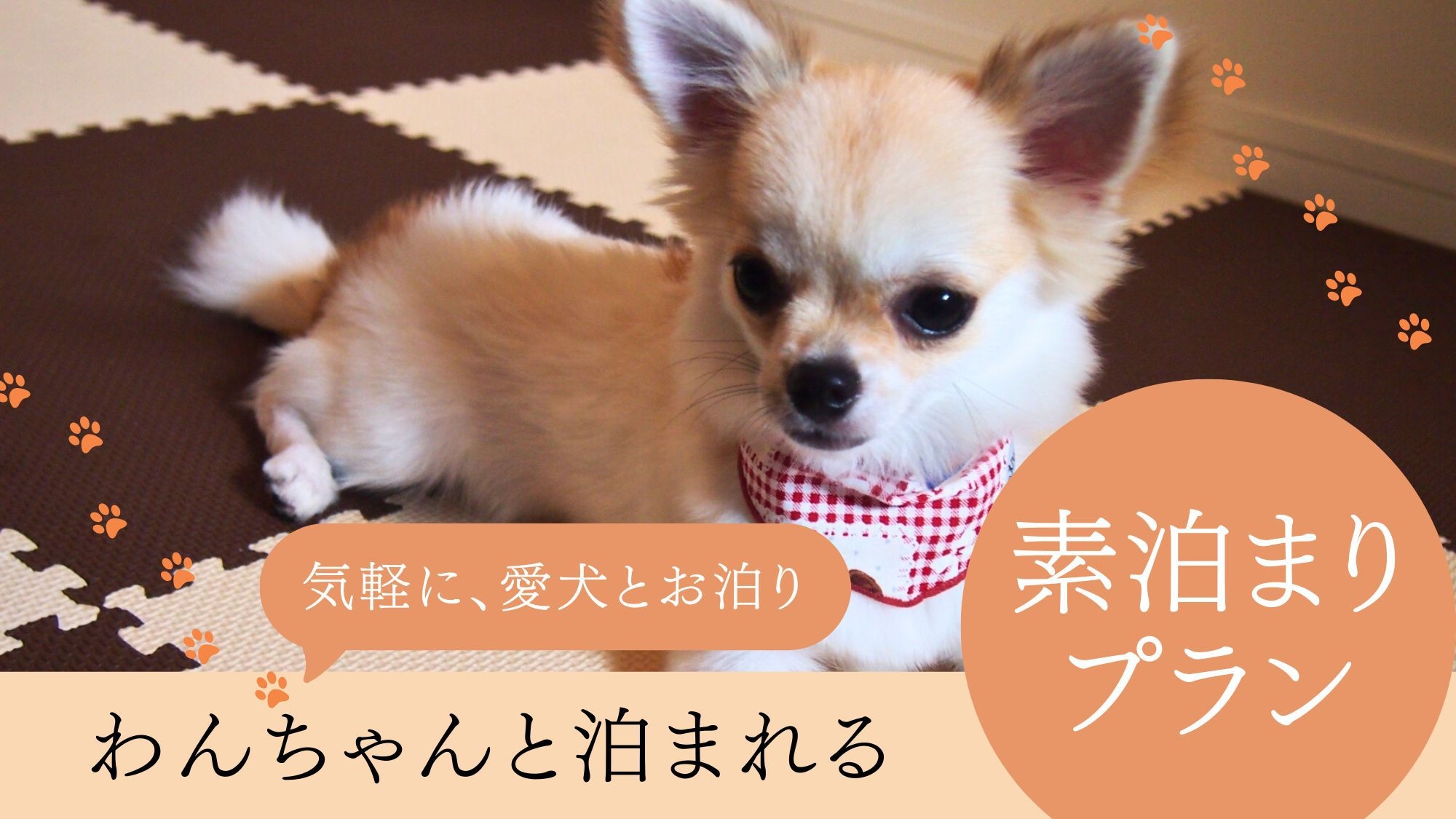 【ドッグフレンドリー〇素泊まり】美しい海岸線の港町をわんちゃんといっしょに散策〇展望大浴場で湯あみ