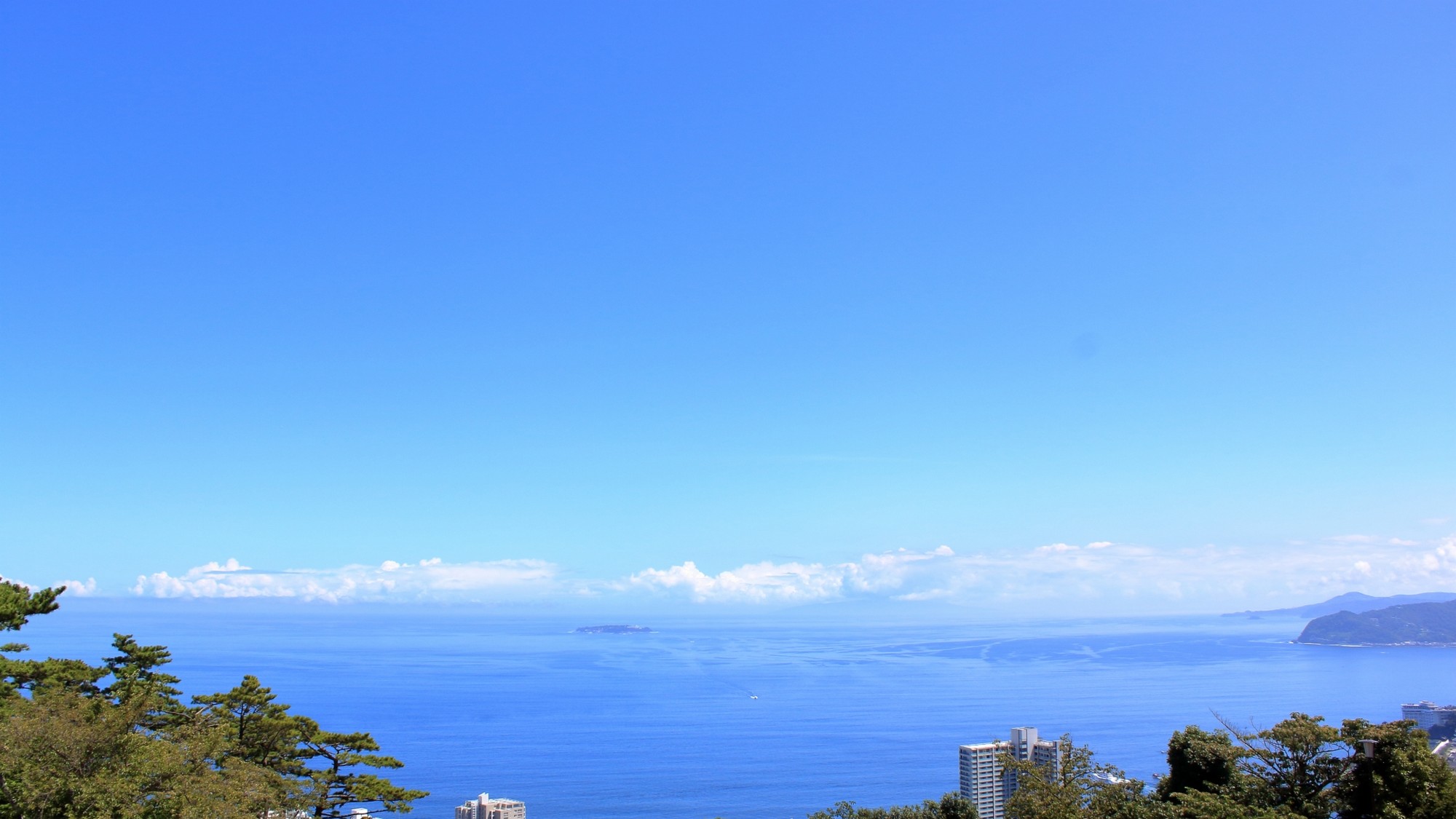 【MOA美術館】日本画や工芸の名品を海の絶景と共に楽しむ美術館（車15分）