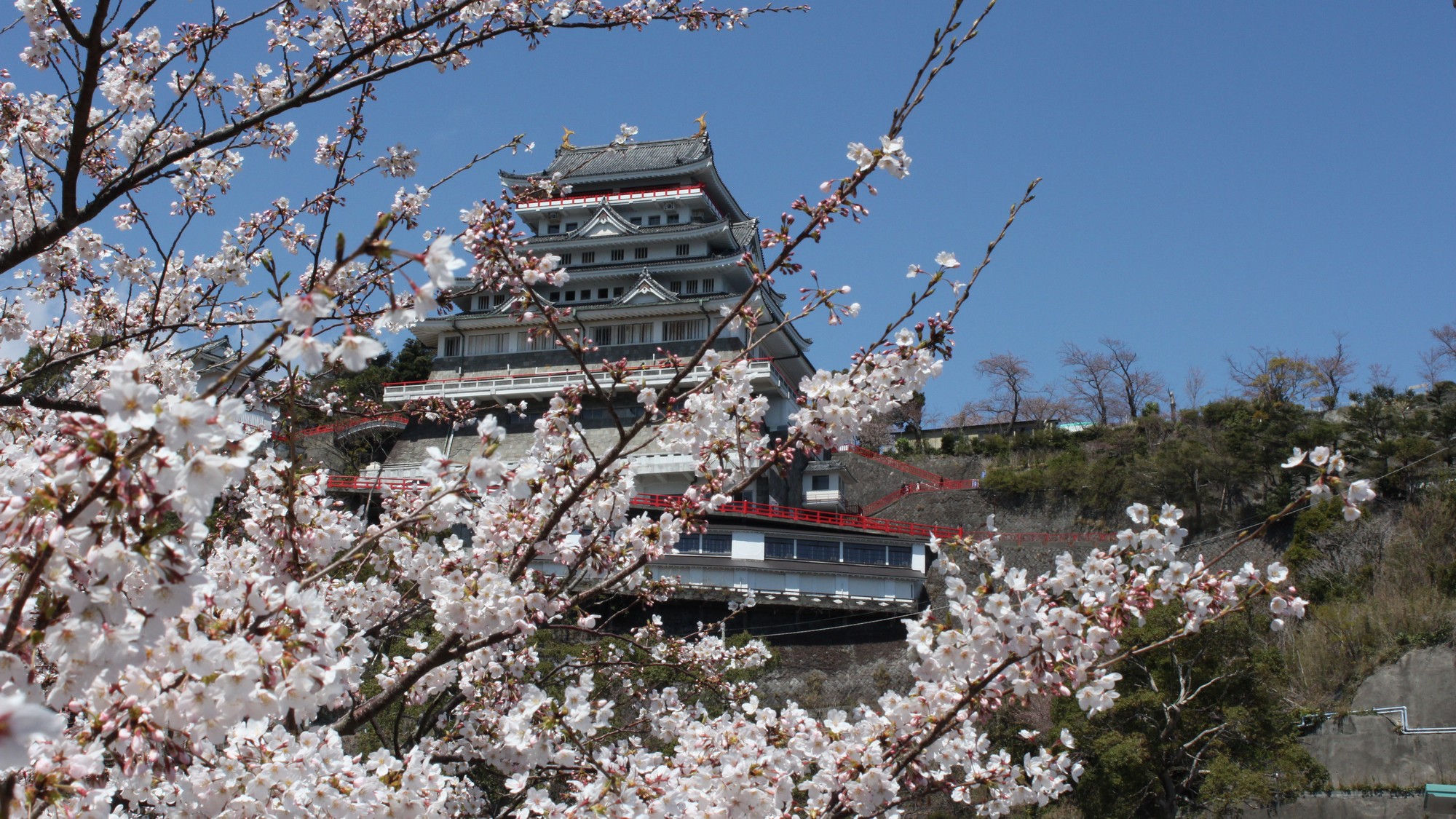 【熱海城 桜まつり】昼も夜も桜を楽しめるスポット！3月26日(木)～4月5日(日)開催予定