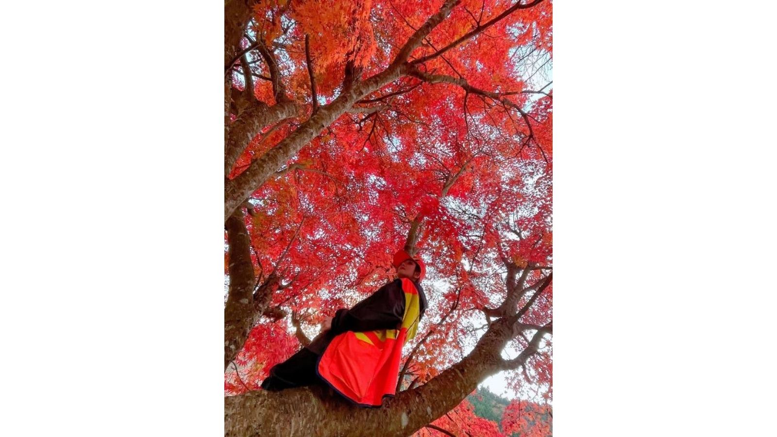 周辺観光｜アクティビティ