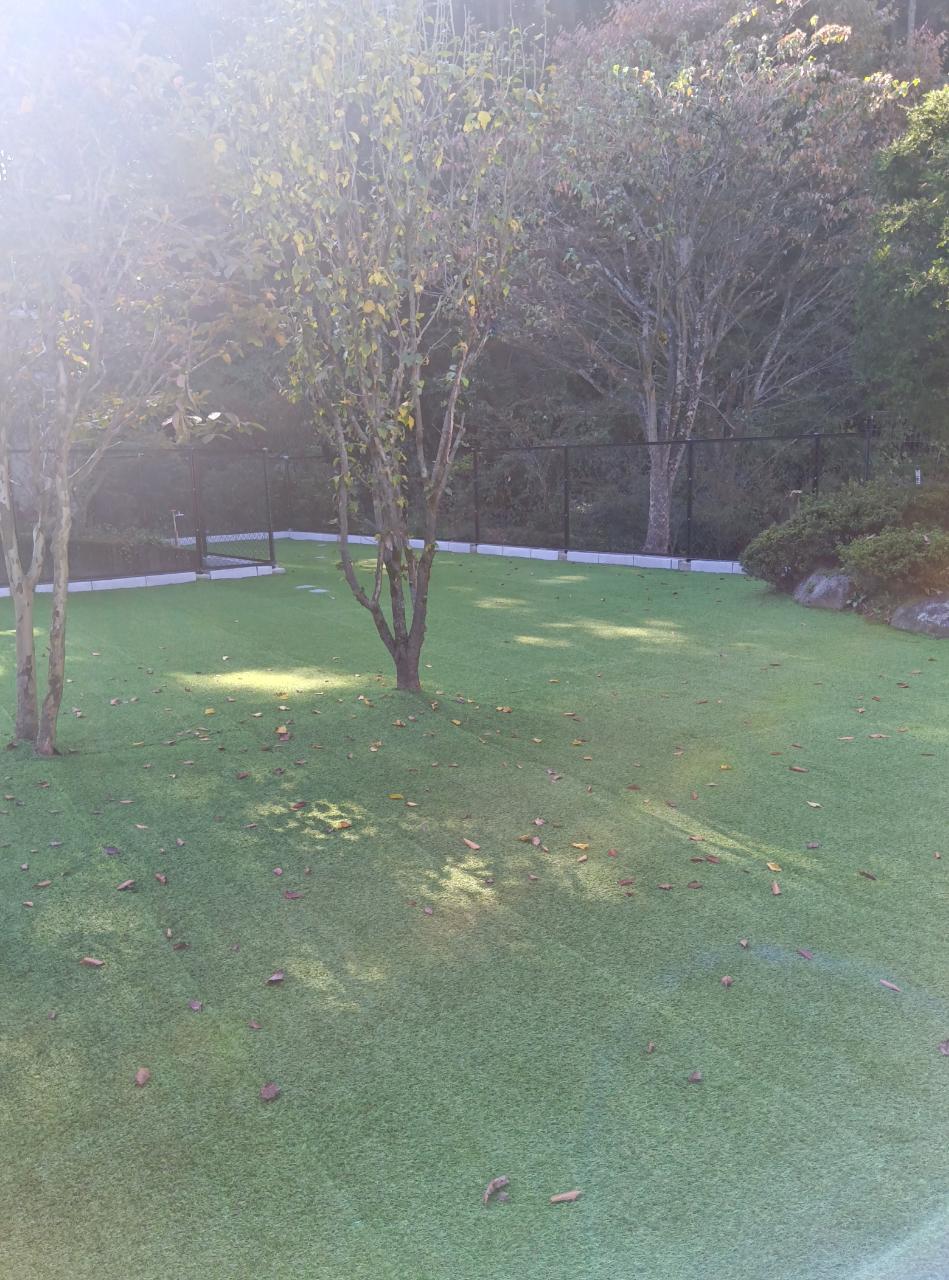 小型犬用ドックラン　