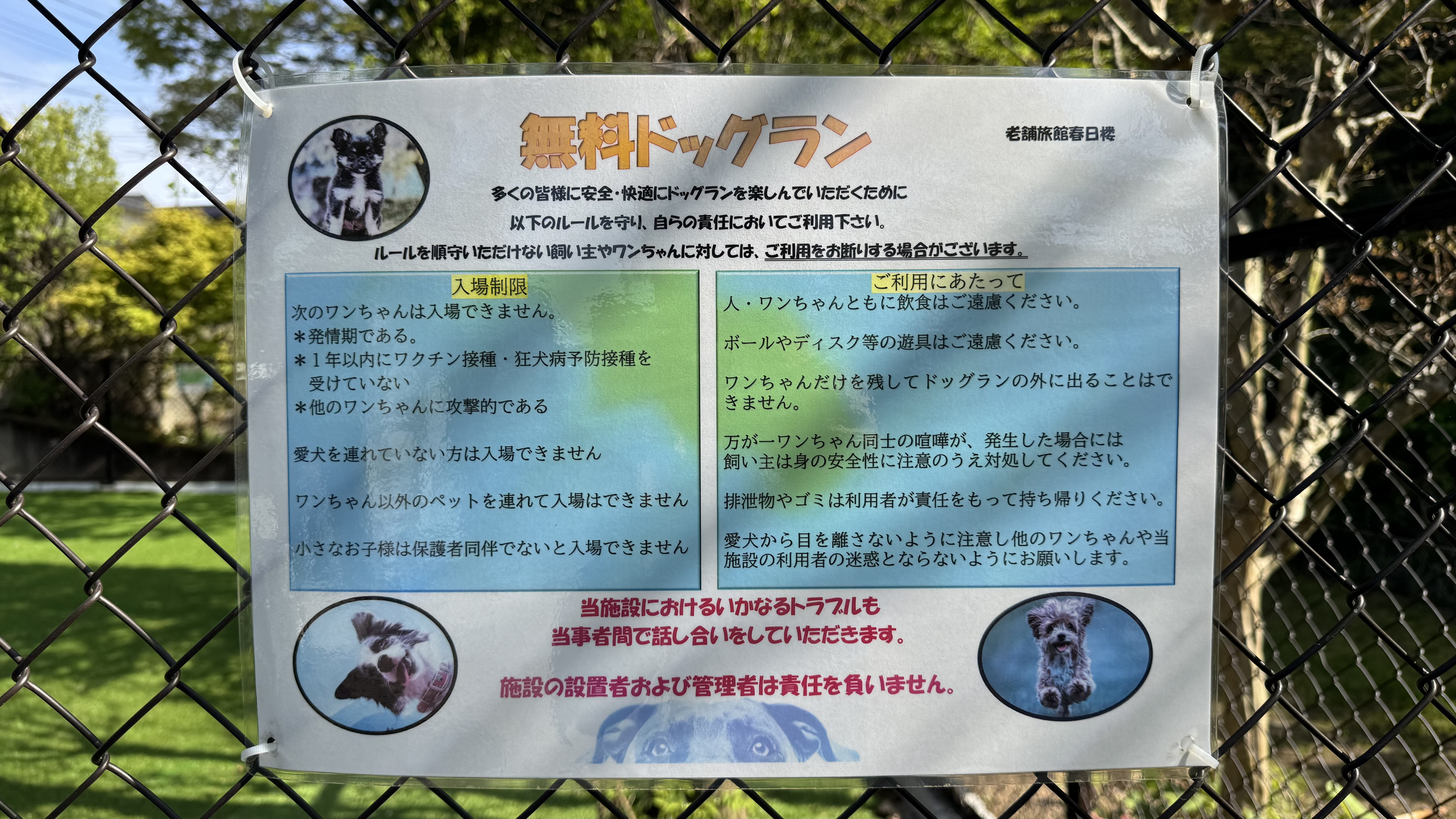 120平米の広々ドッグラン