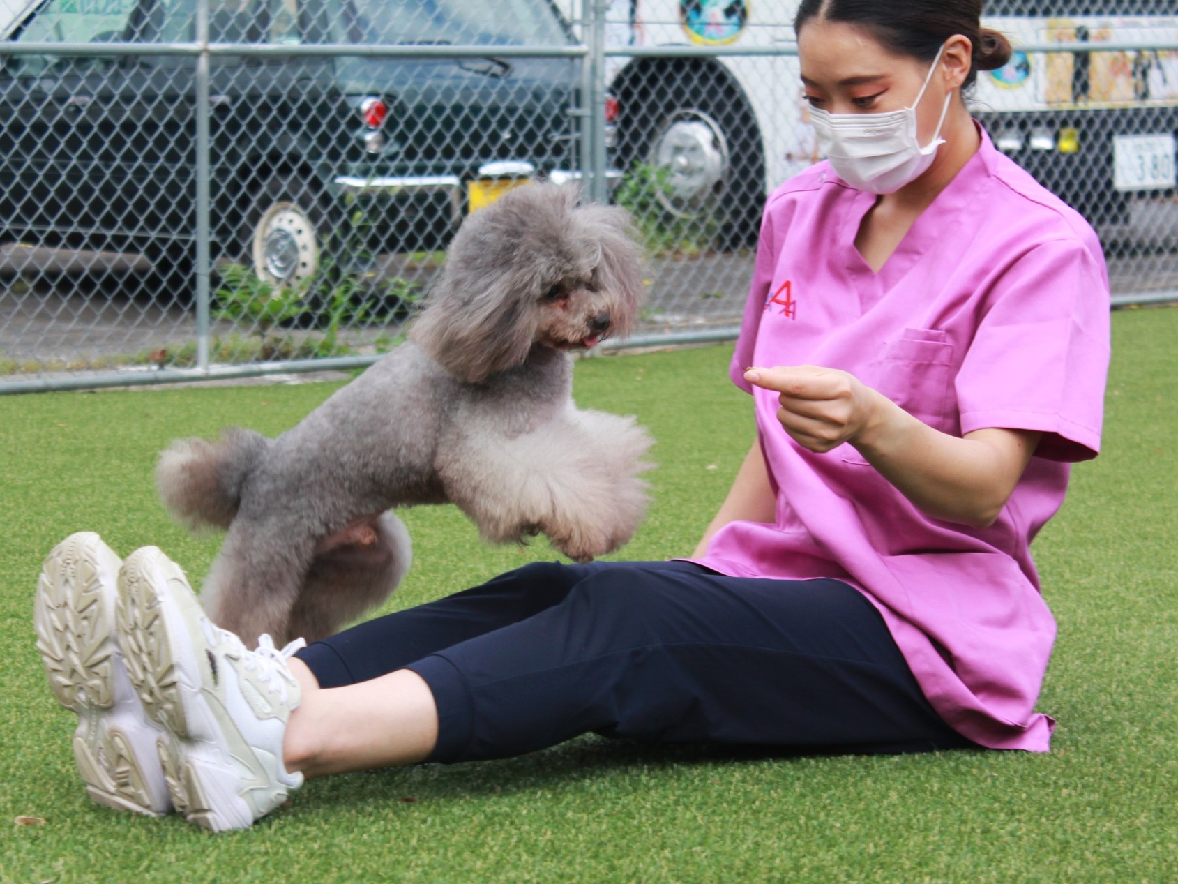 【愛犬のリハビリ・長期療養に】アジア動物医療リハビリセンター連携◆割引特典付き・長期滞在応援プラン♪