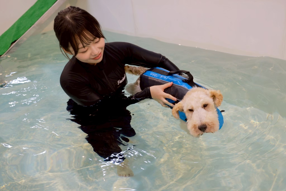 【愛犬のリハビリ・長期療養に】アジア動物医療リハビリセンター連携◆割引特典付き・長期滞在応援プラン♪
