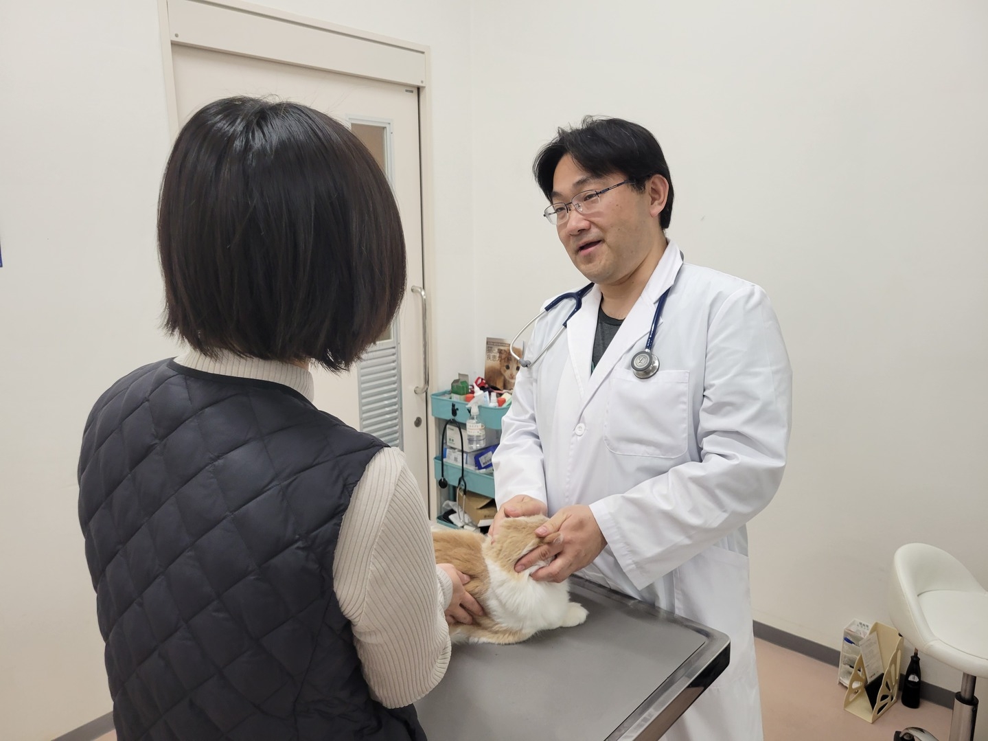 【土日祝×ペット同伴】ペットと泊まる癒やし旅♪系列動物病院の【無料健康診断チケット】付き安心ステイ