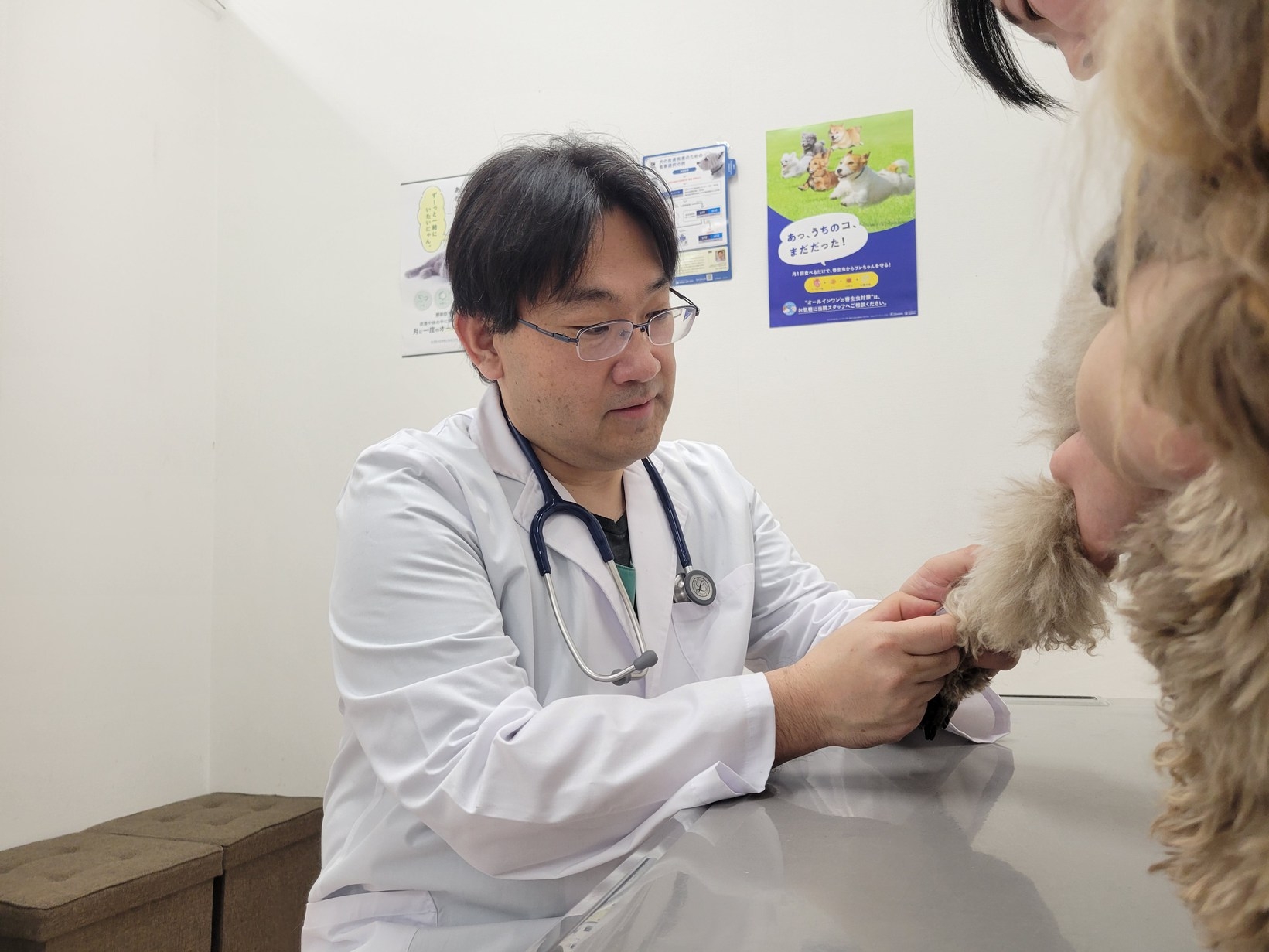 【土日祝×ペット同伴】ペットと泊まる癒やし旅♪系列動物病院の【無料健康診断チケット】付き安心ステイ