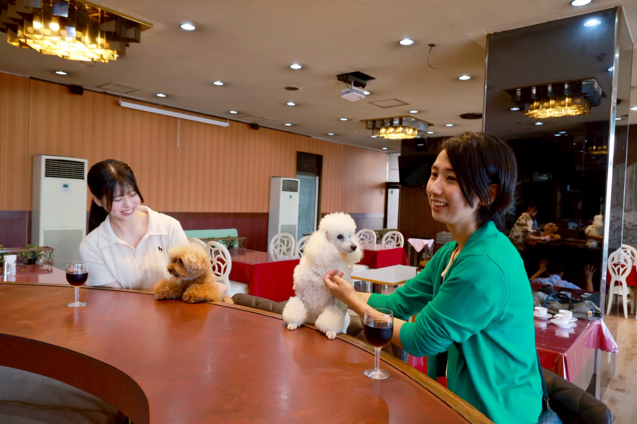 どこか懐かしく、どこまでも温かい。ヴィンテージな空間で愛犬と絆を深めてください。