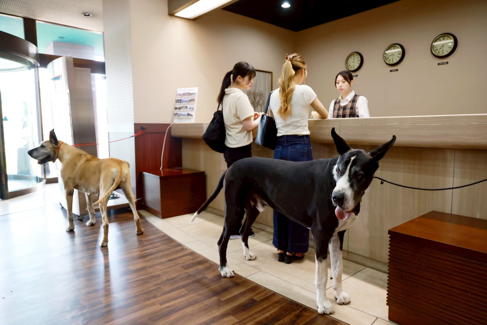 ヴィンテージな空間の中で、愛犬が心からリラックスし、飼い主様との絆がより深まる場所。一頭一頭への深い愛情と敬意を持って、皆様をお迎えいたします。