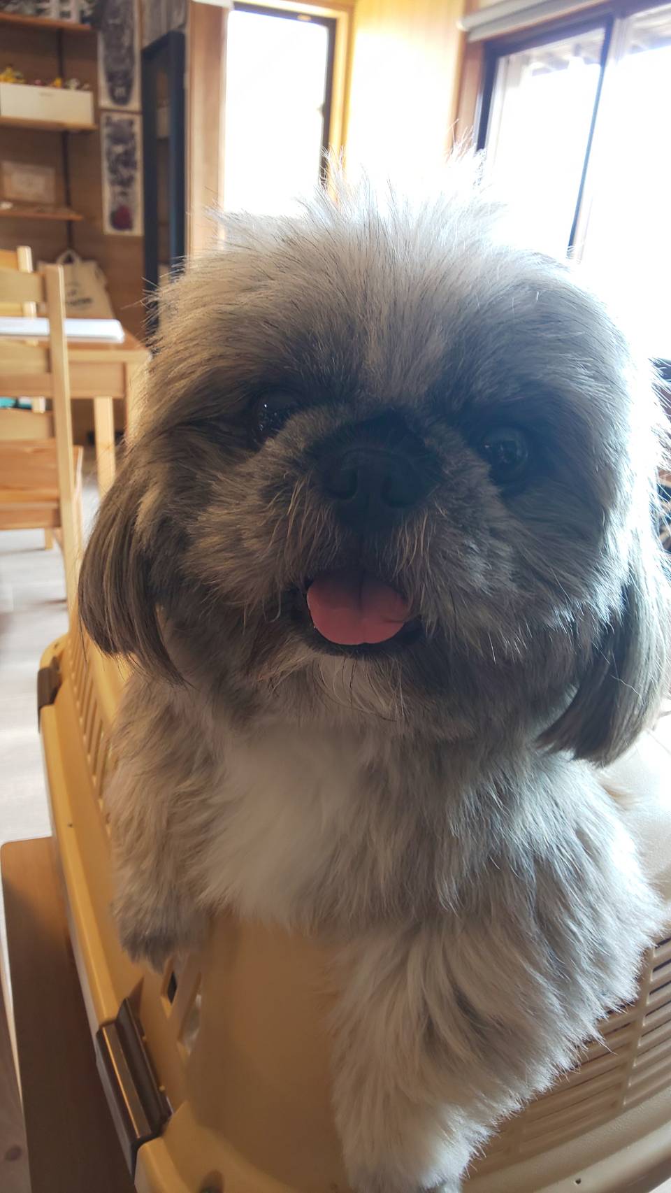 笑顔でお出迎え