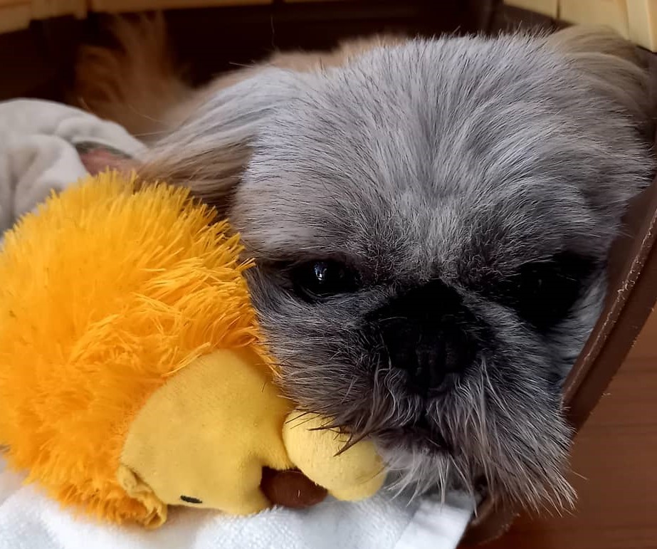 居眠り総支配人