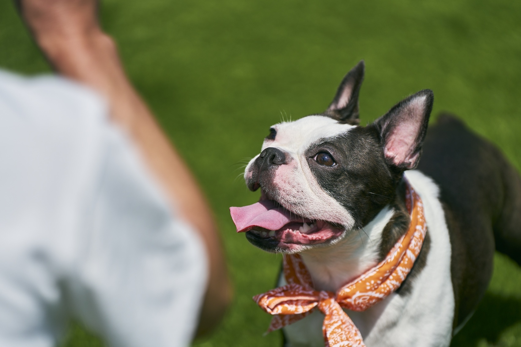 【通常プラン】1棟料金 /ペット料金無料 / BBQグリル付/焚火スペース / 素泊まり