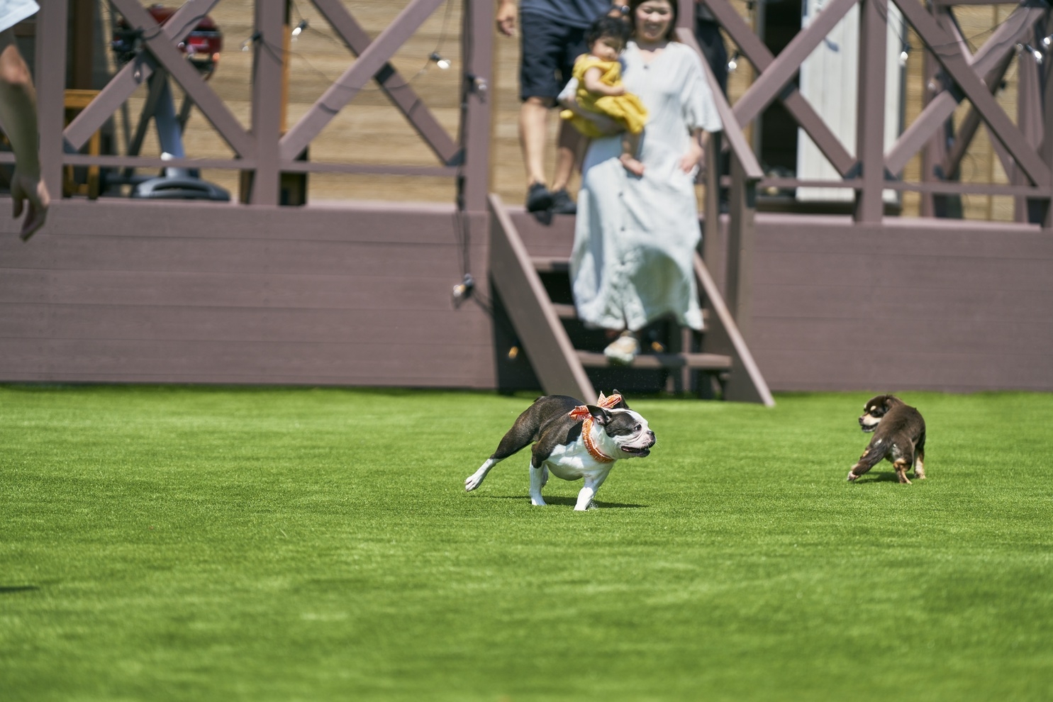 【通常プラン】1棟料金 /ペット料金無料 / BBQグリル付/焚火スペース / 素泊まり