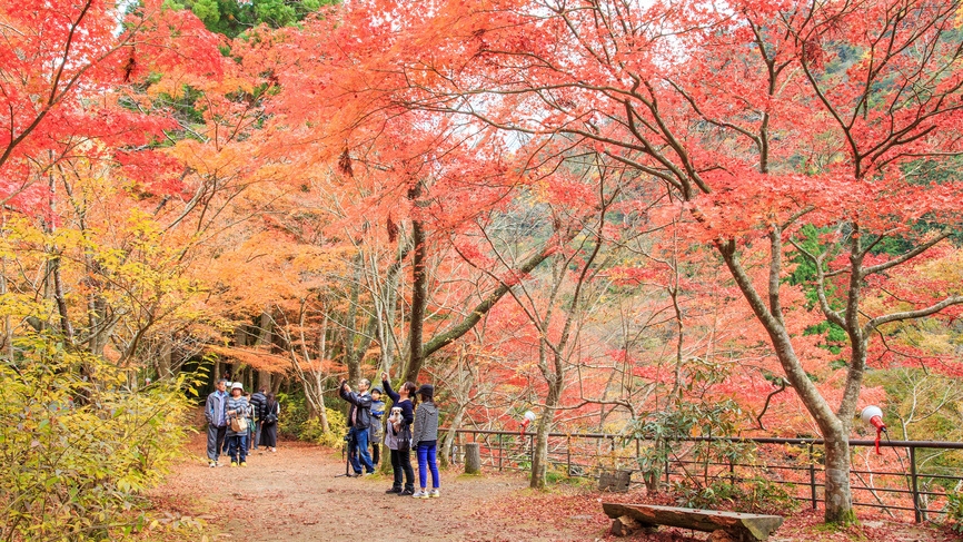 【秋旅10月11月】津山城＆観音寺の紅葉名所めぐり！秋の絶景を楽しむ秋バイキングプラン＜1泊2食＞
