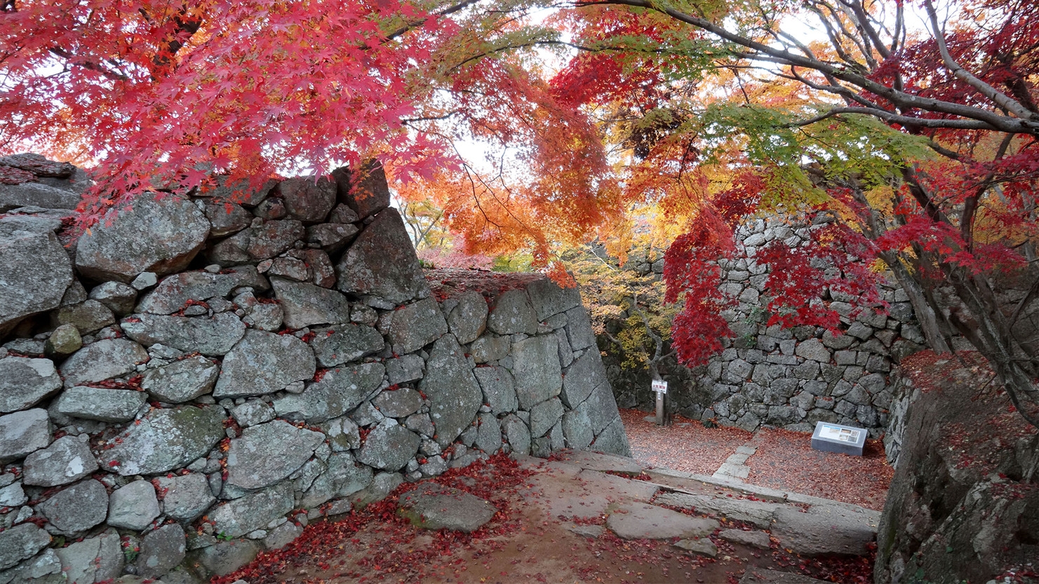 【秋旅10月11月】津山城＆観音寺の紅葉名所めぐり！秋の絶景を楽しむ秋バイキングプラン＜1泊2食＞