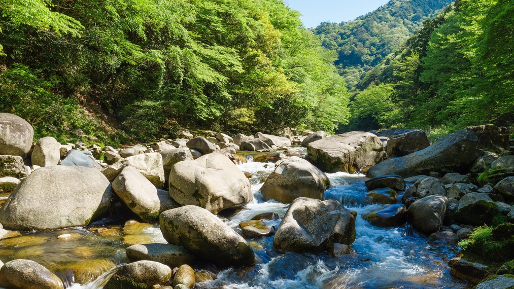 【夏休み◆7月8月】家族旅行に！蒜山ドライブ＆スタミナバイキング〜カラオケ・卓球無料〜＜1泊2食＞
