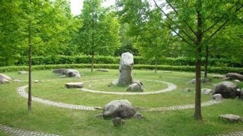 太古の森（メタセコイアの森）