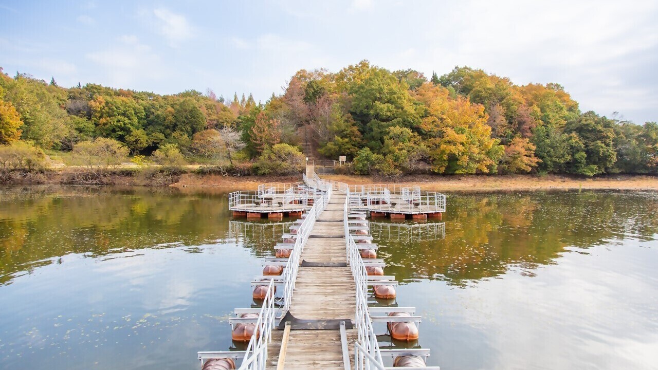 太古の森（メタセコイアの森）