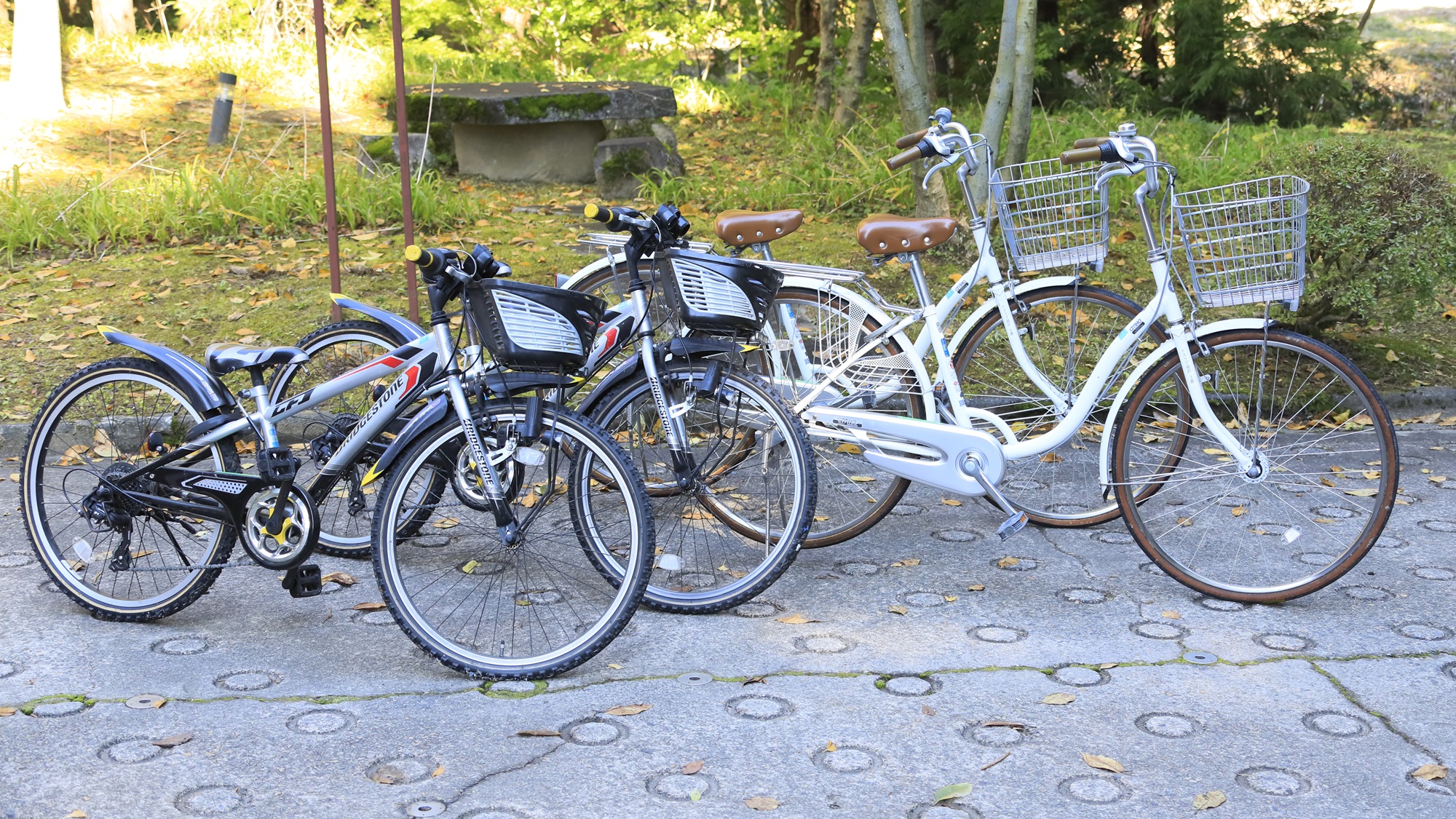 【レンタルサイクル】（期間限定）ゆとりろ越後湯沢周辺の田園風景などを巡るサイクリングがおすすめ