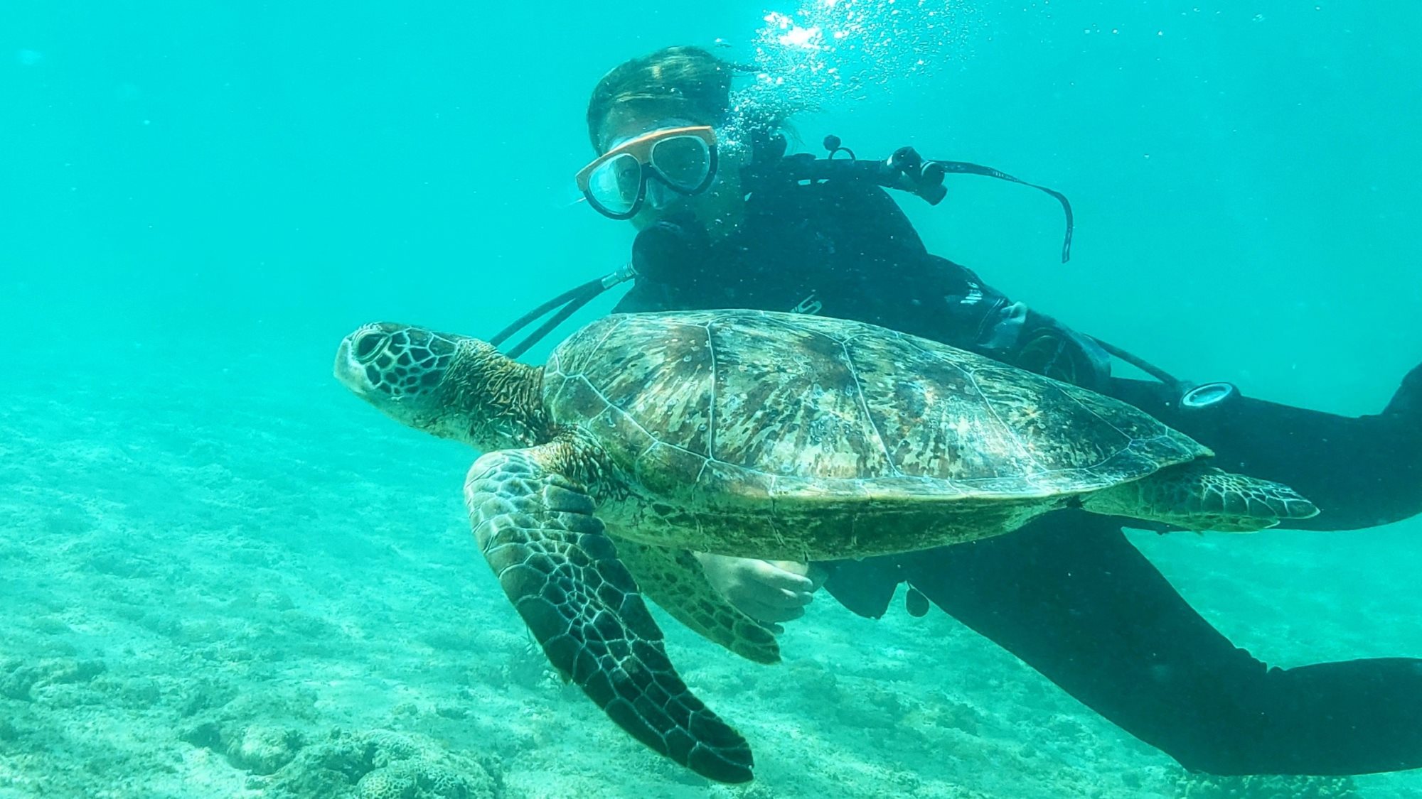 【感動体験ダイビング】ライセンスがなくてもダイビングにチャレンジできます。