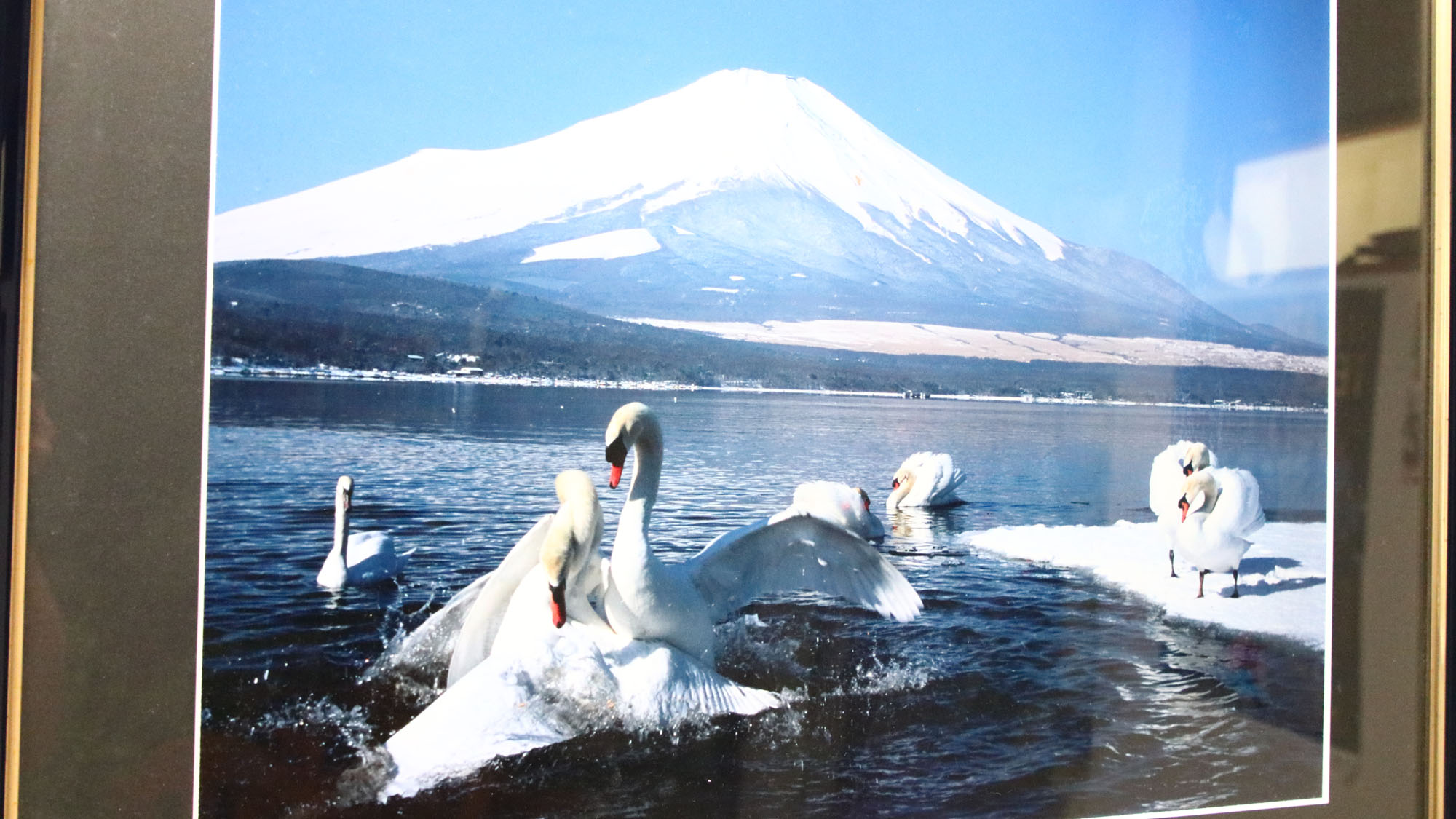ロビー&diams;富士山フォトギャラリー*