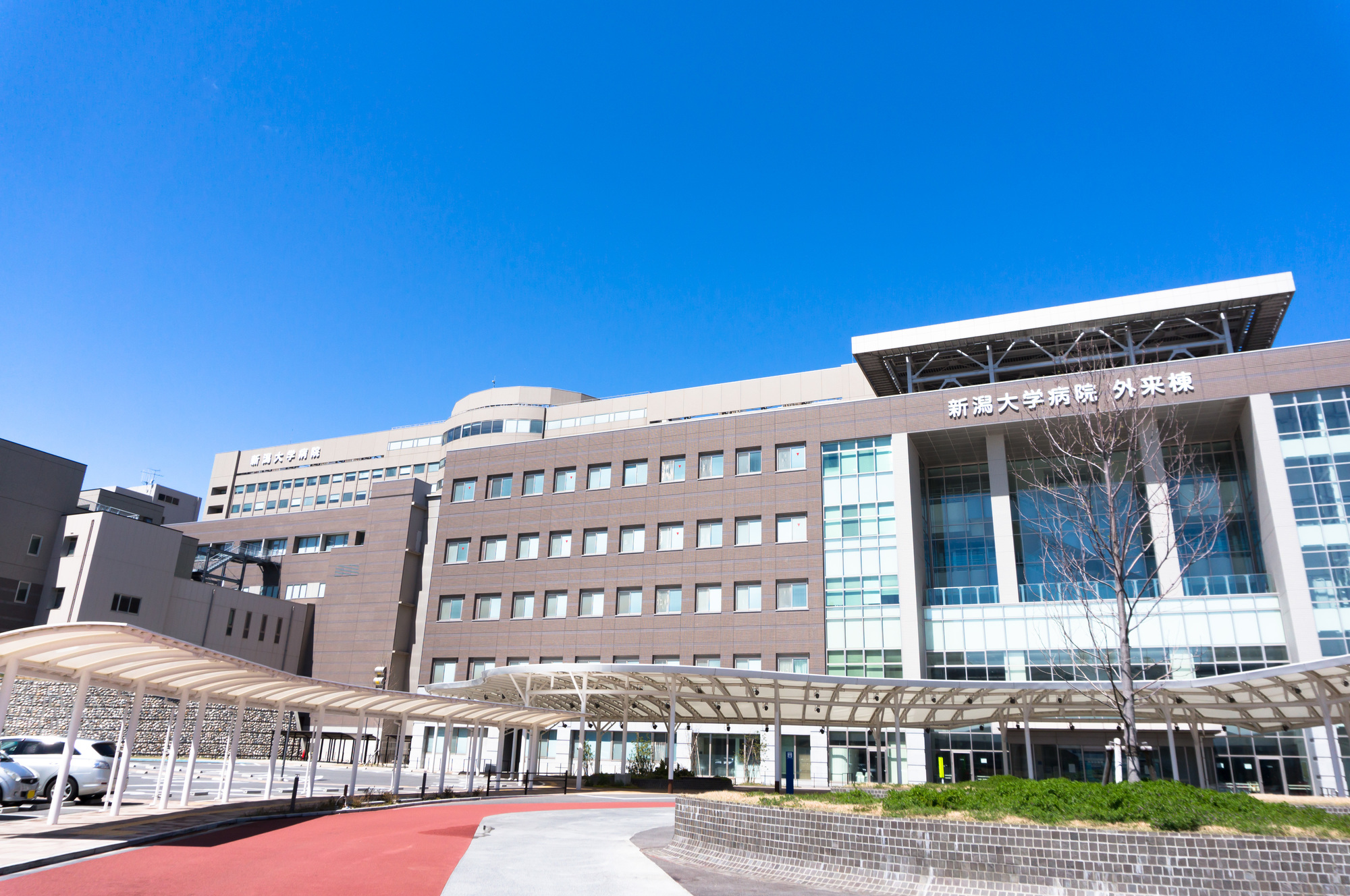 新潟大学医歯学総合病院