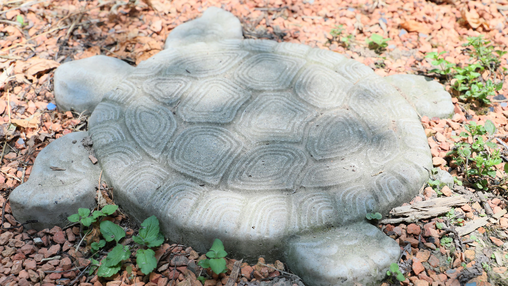 【イメージ】地面に隠れているよ！探してみてね*