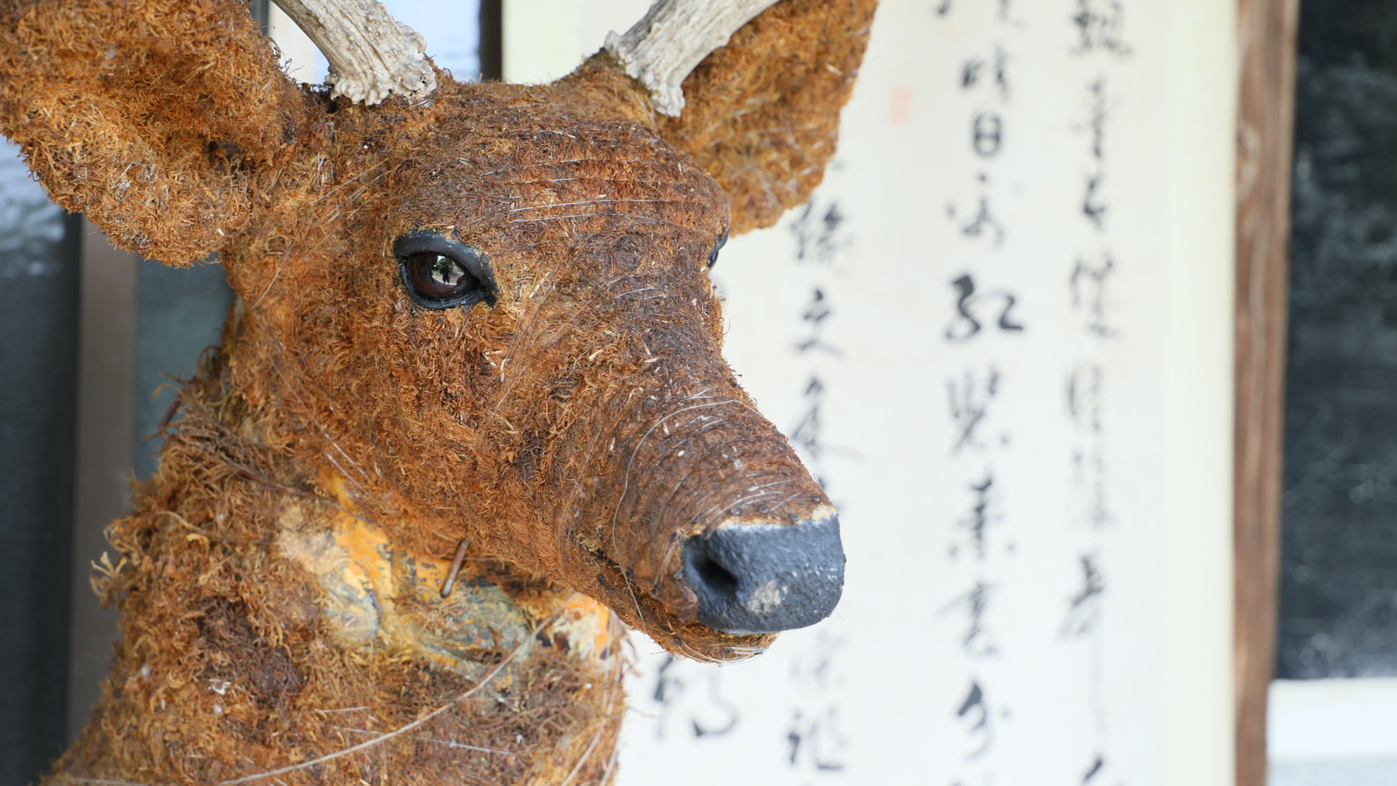 【玄関】立体的な鹿の飾りがお迎えします*