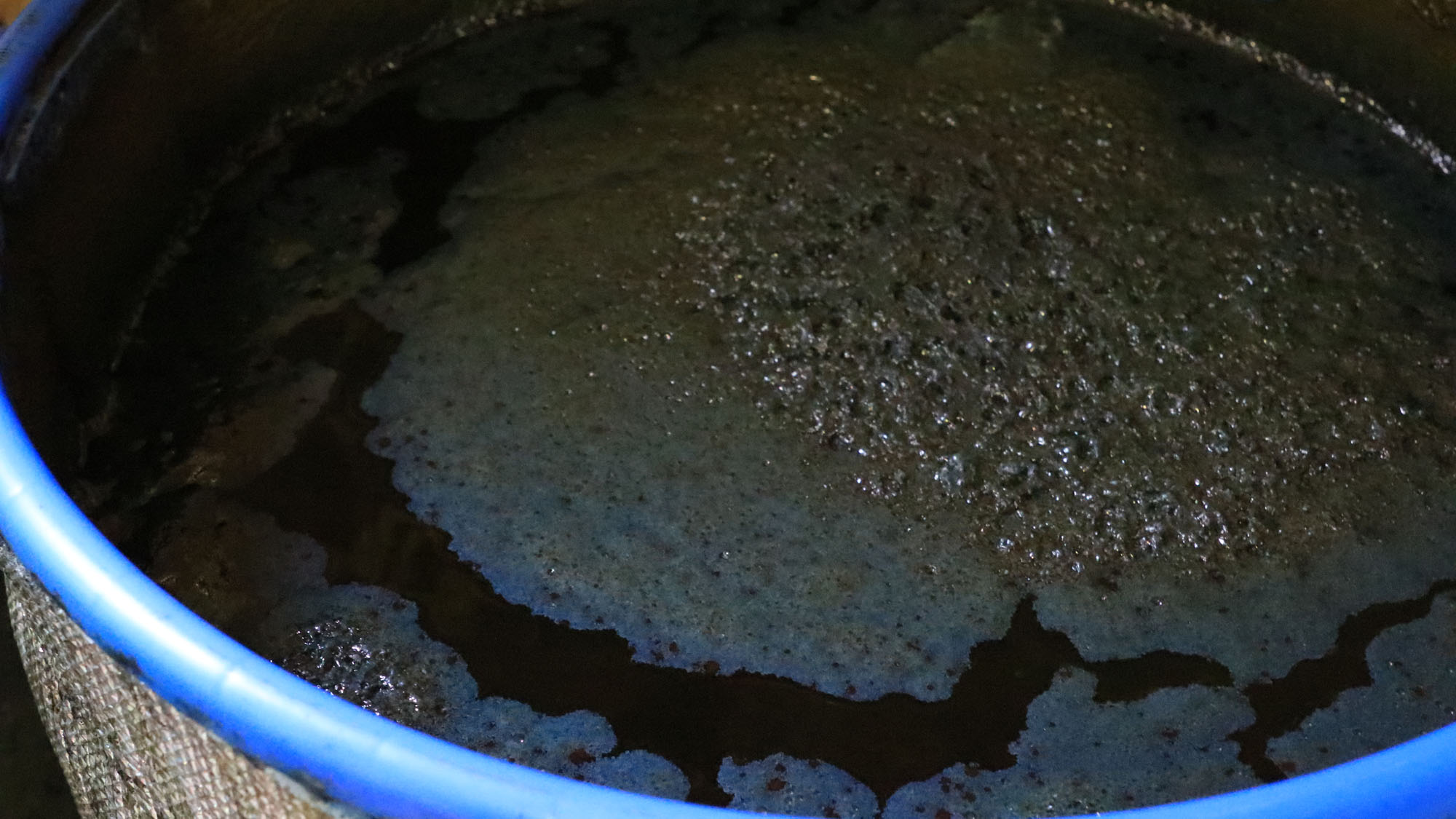 【藍染体験】藍染の染料。自分の好みに応じて染料の濃さを選べます。*